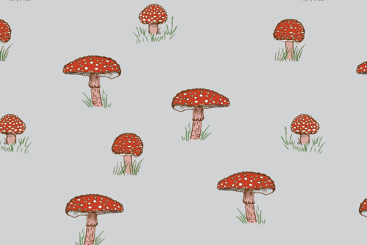 Summertime Woods Collection