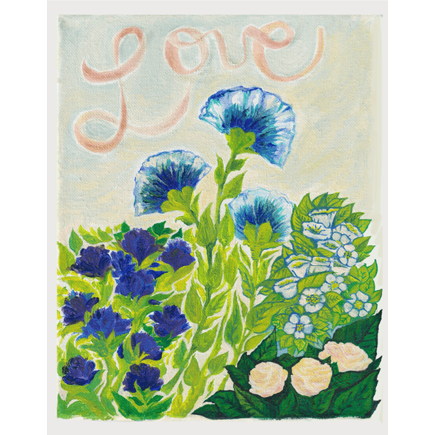 Pansies Velvet Love