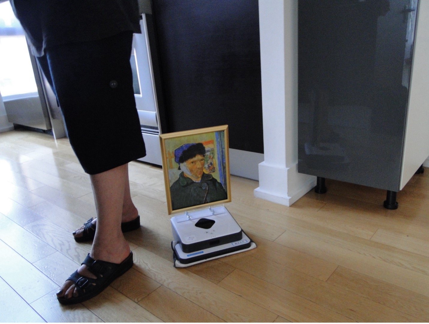 AHM - Van Gogh Vaccum.jpg