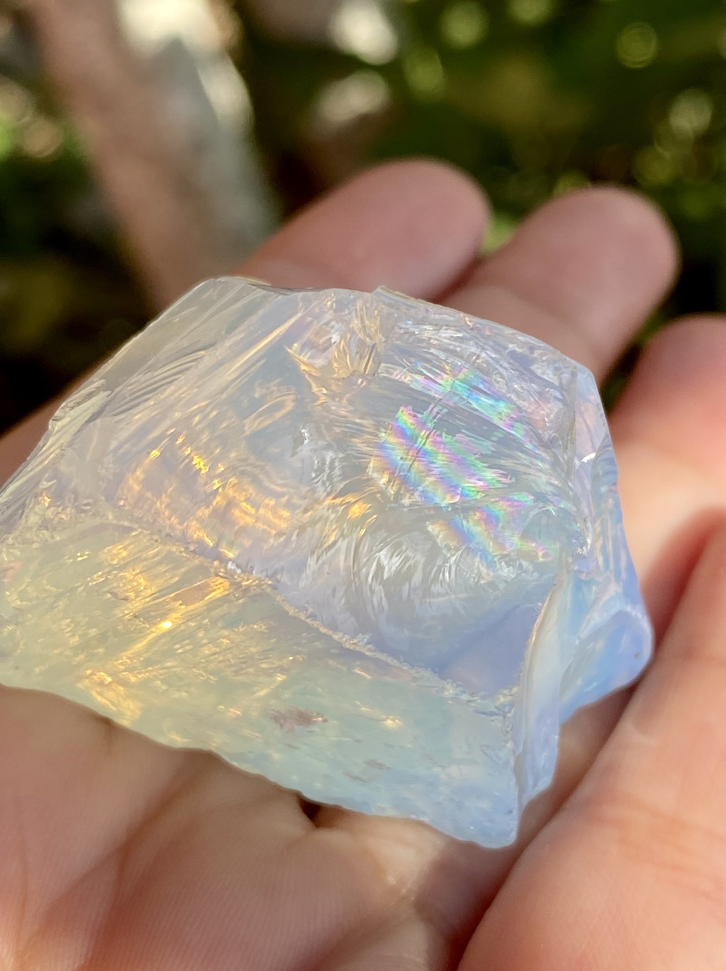 Arcturian Light Anadara 5.jpeg