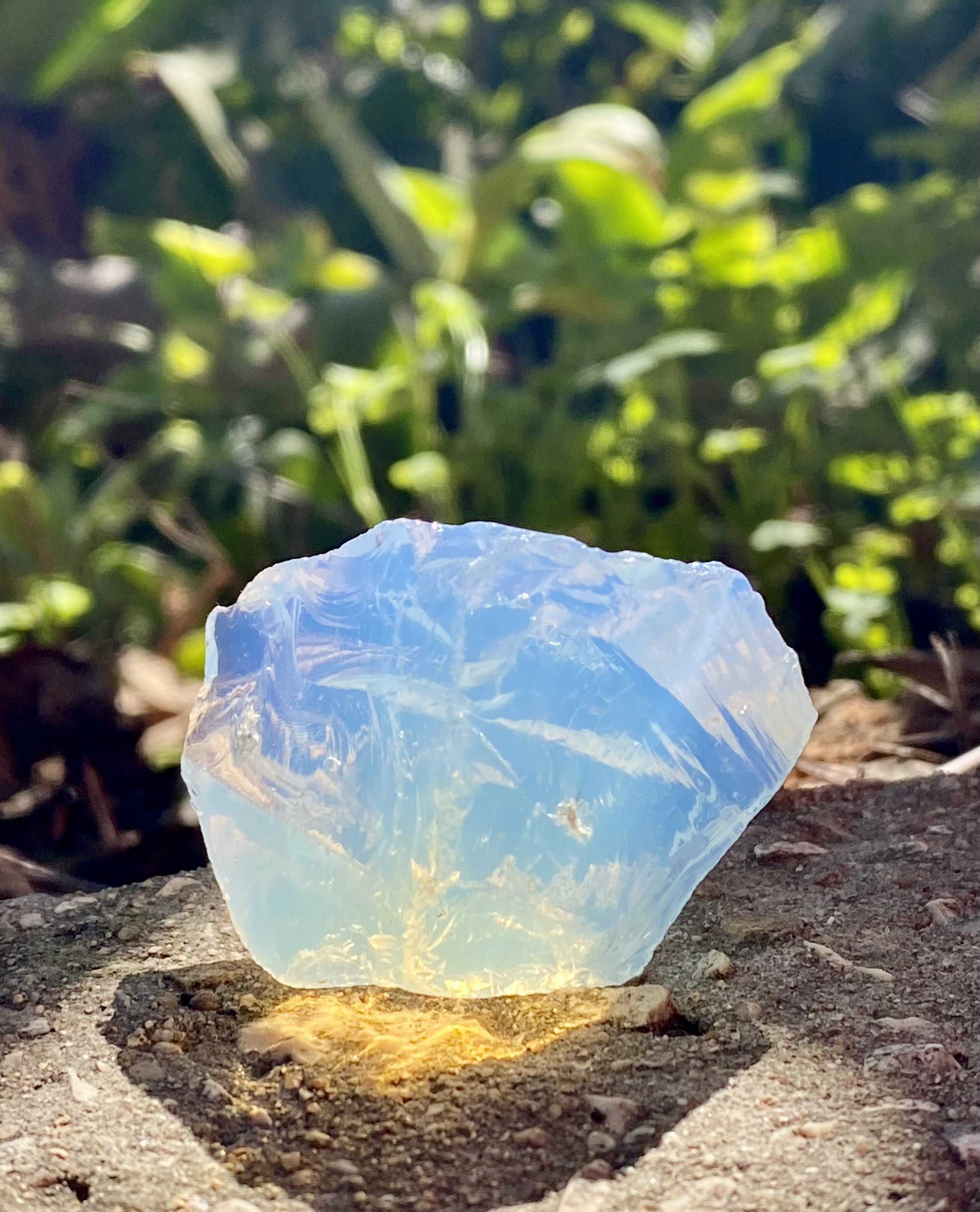 Arcturian Light Anadara 2.jpeg