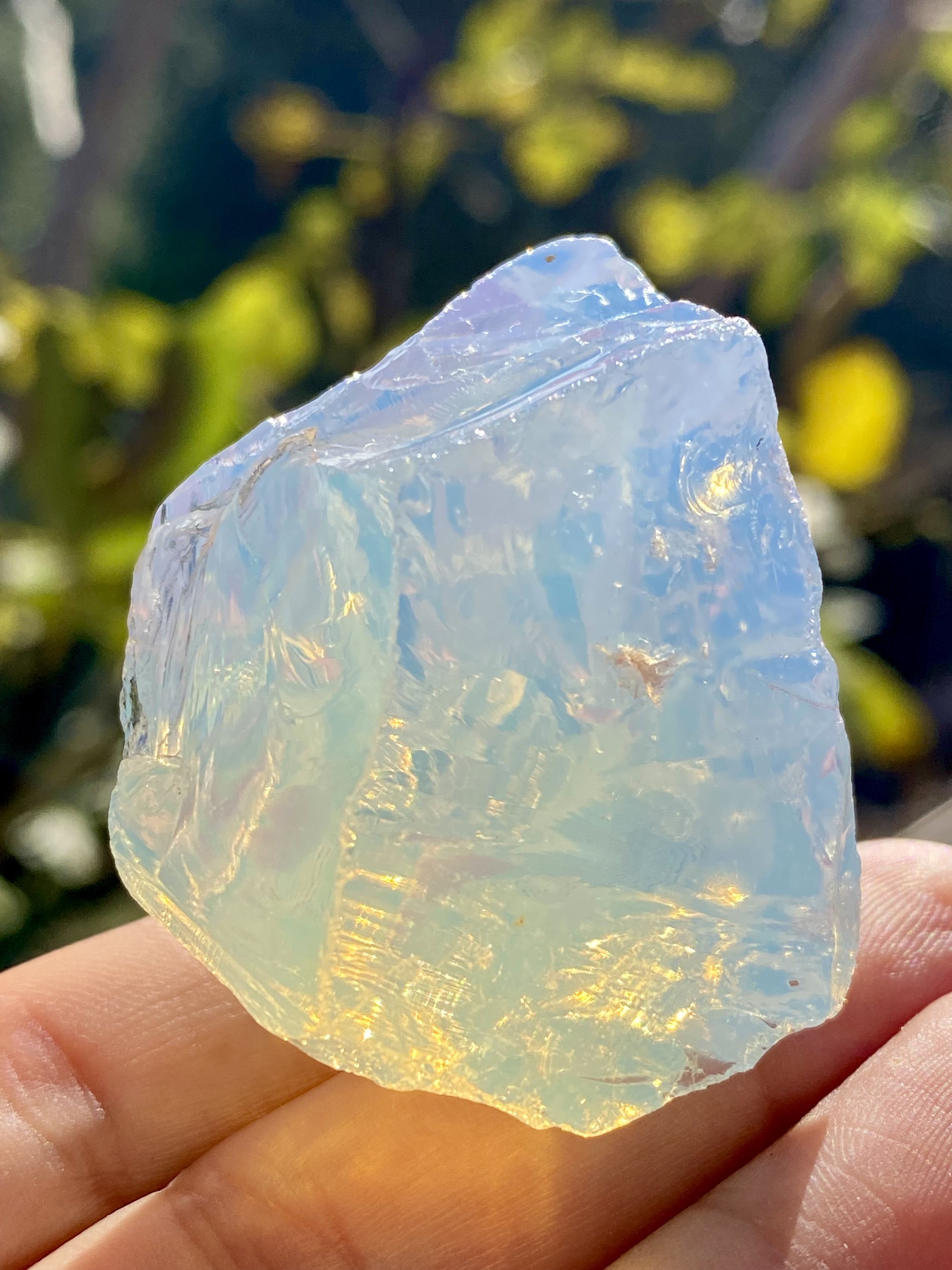 Arcturian Light Anadara 4.jpeg