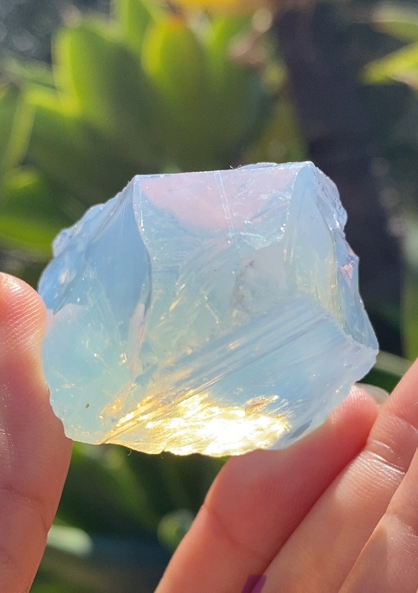 Arcturian Light Anadara 6.jpeg