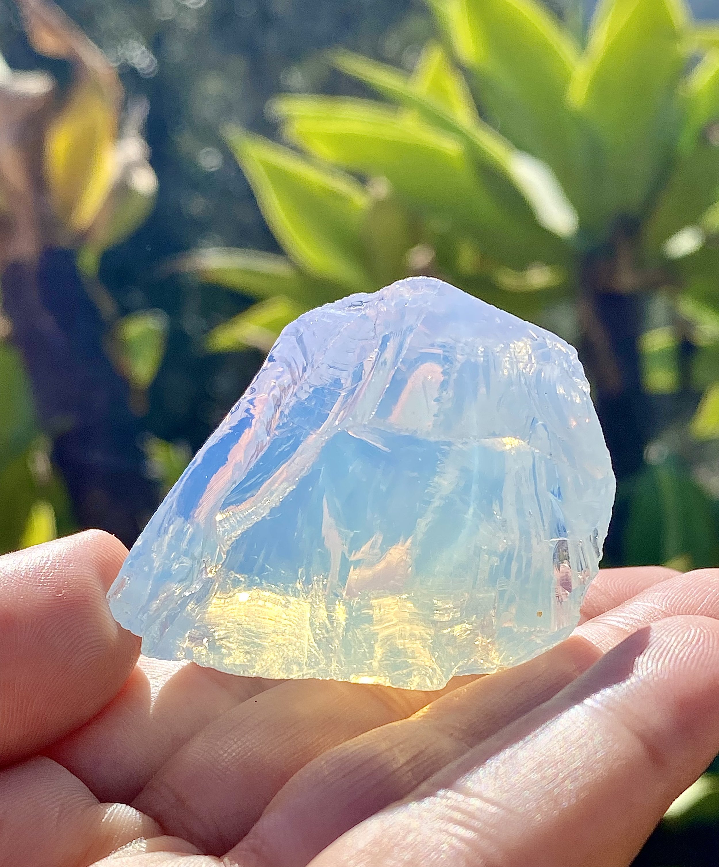 Arcturian Light Anadara 1.jpeg