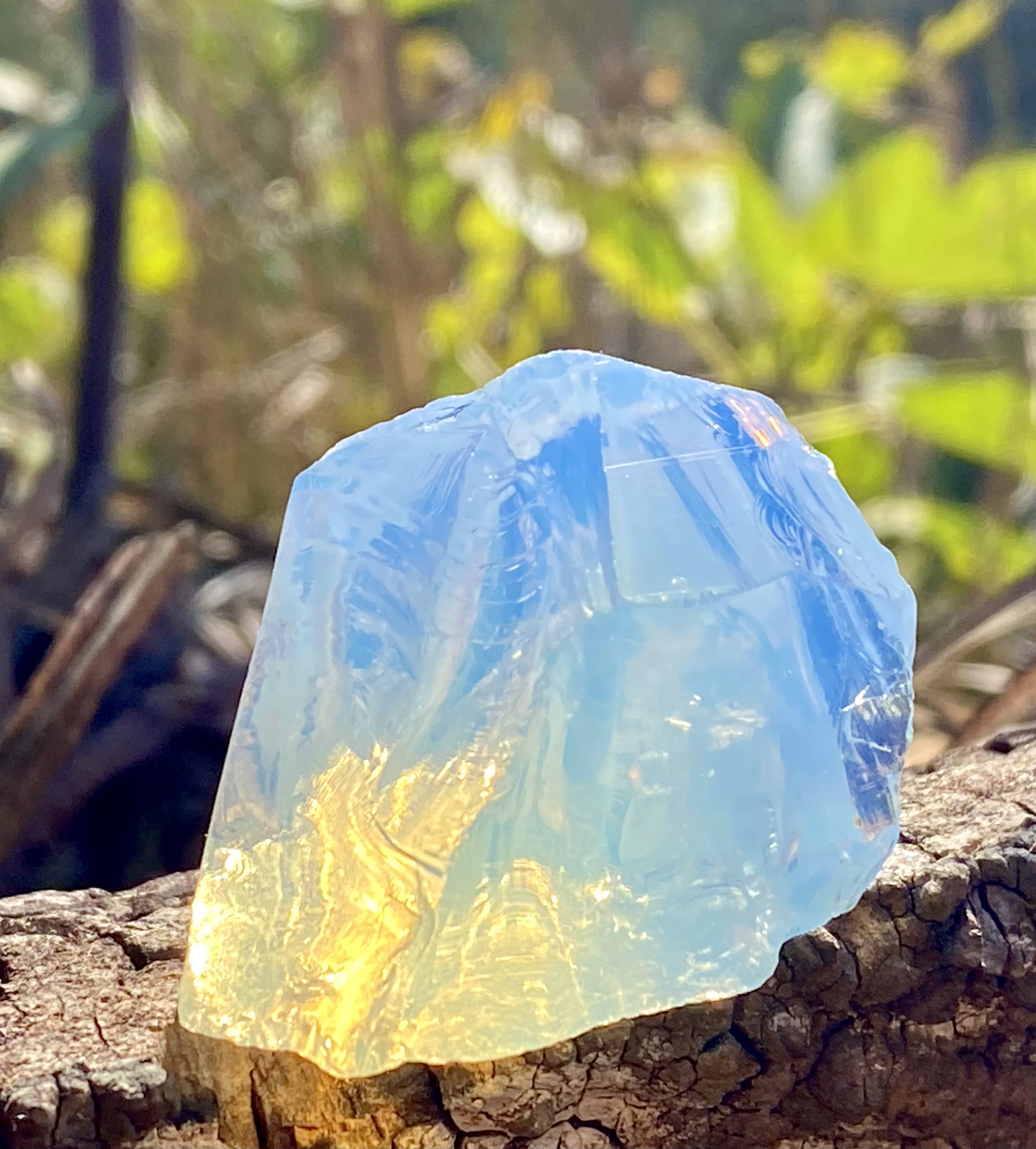 Arcturian Light Anadara 3.jpeg