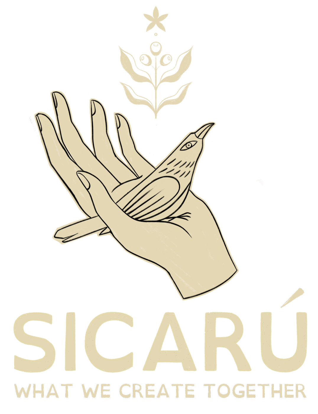 Sicarú Coffee Roasters