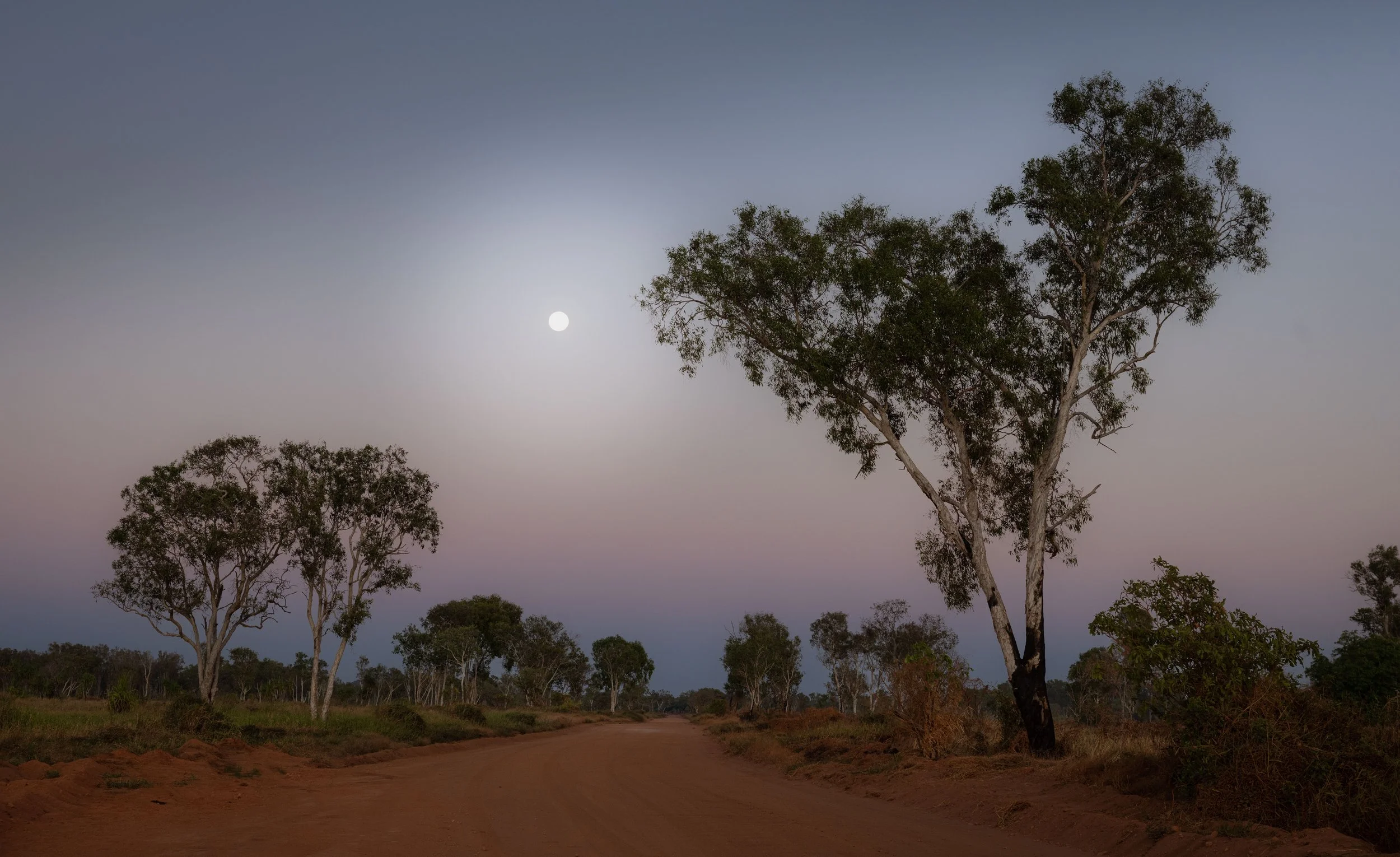 Arnhem Land highway in the Northern Territory.  Dirt road in a sparsely forested area with several trees and the moon in the sky during twilight.