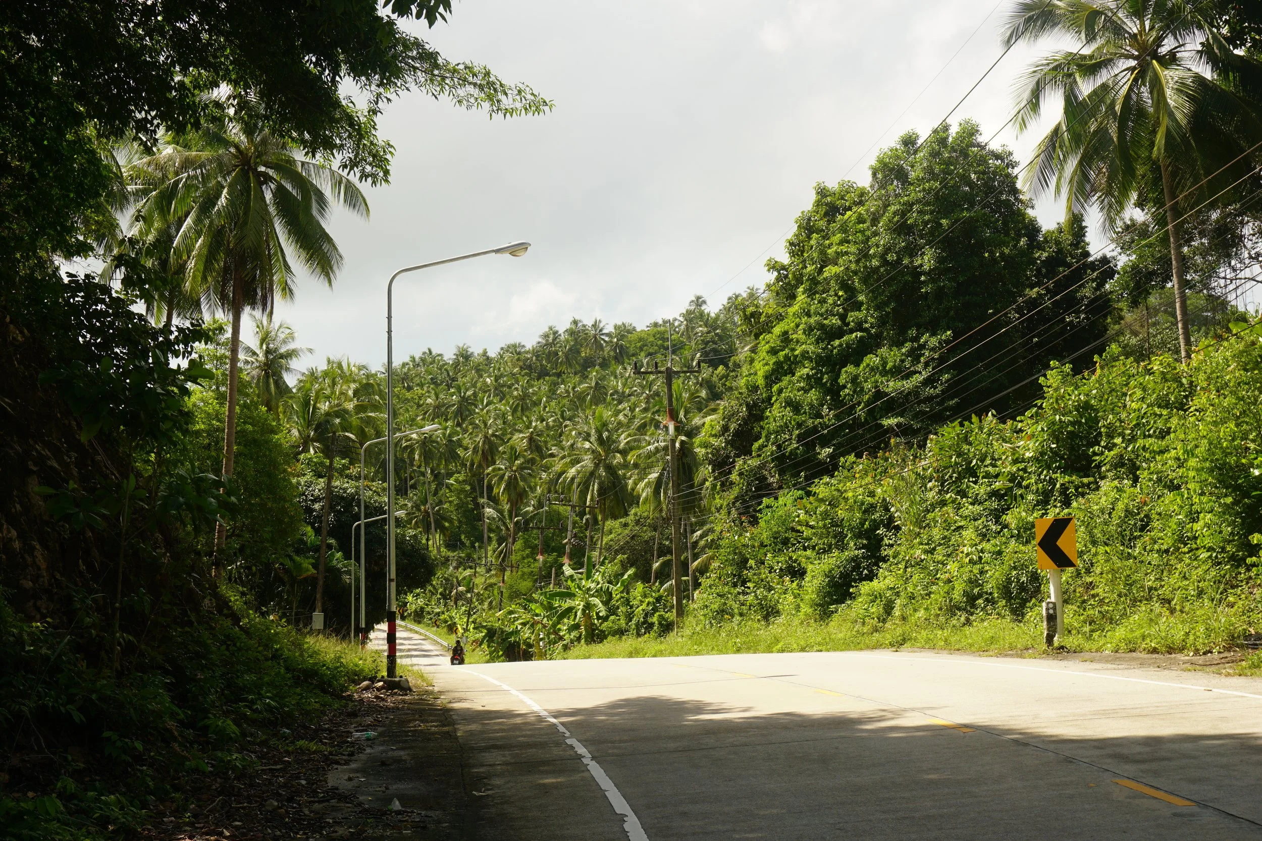 Spend a Slow Day as an Islander - Koh Phangan