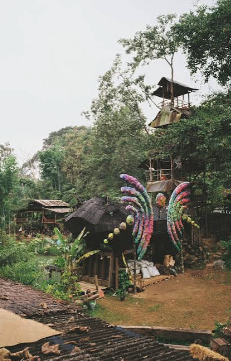 Mycelium Festival and Double Dick Tiger 2026: Your Complete Guide to Thailand's Most Intimate November Gatherings