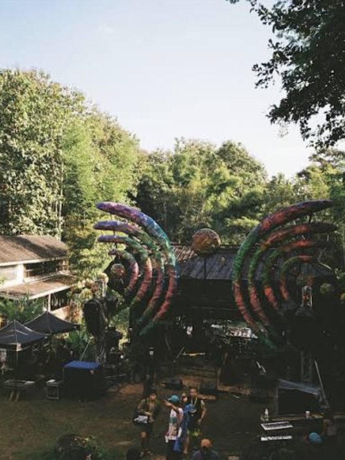 Mycelium Festival and Double Dick Tiger 2026: Your Complete Guide to Thailand's Most Intimate November Gatherings