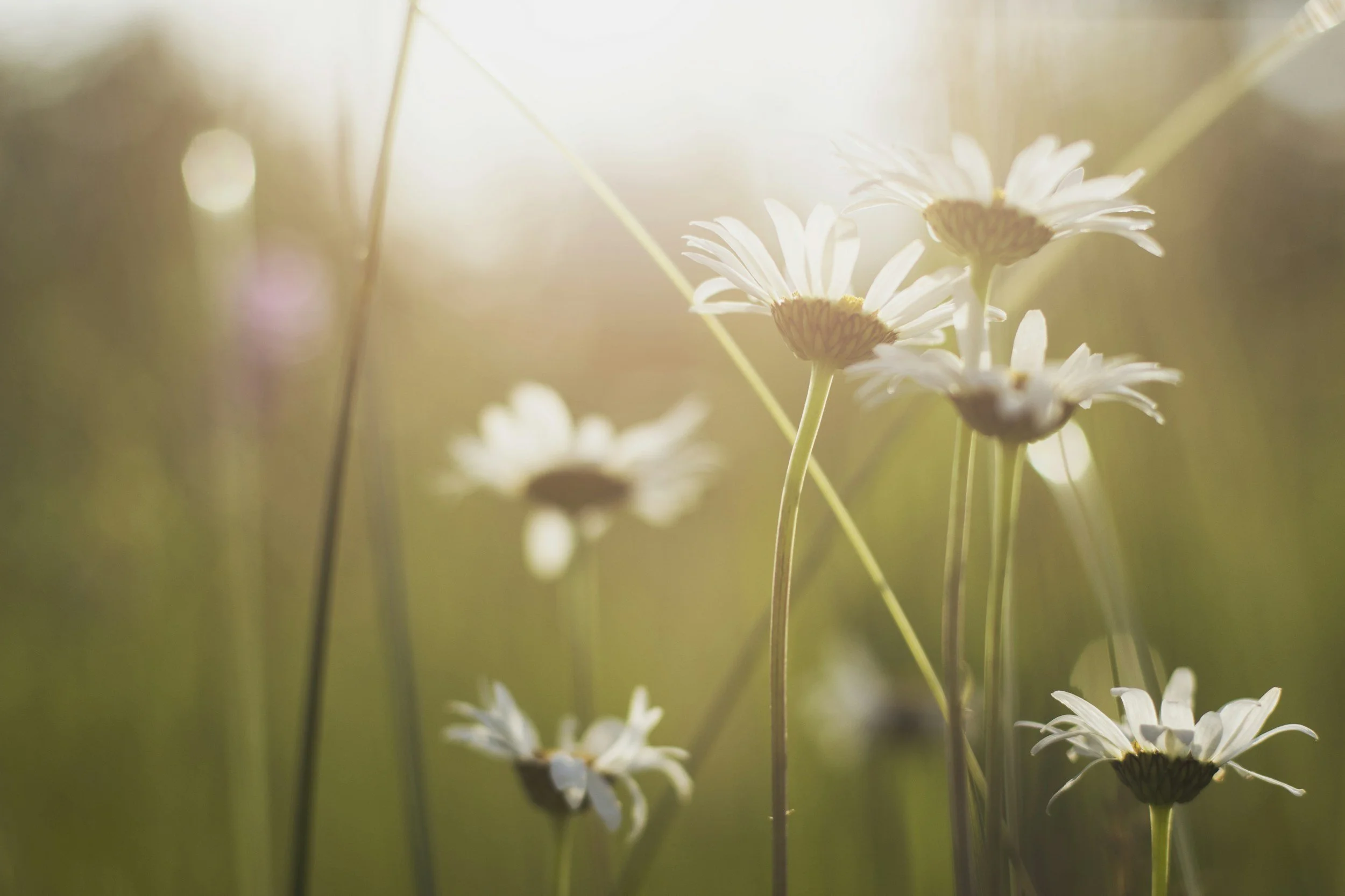 unsplash-image-Giv9o4wEbVg.jpg