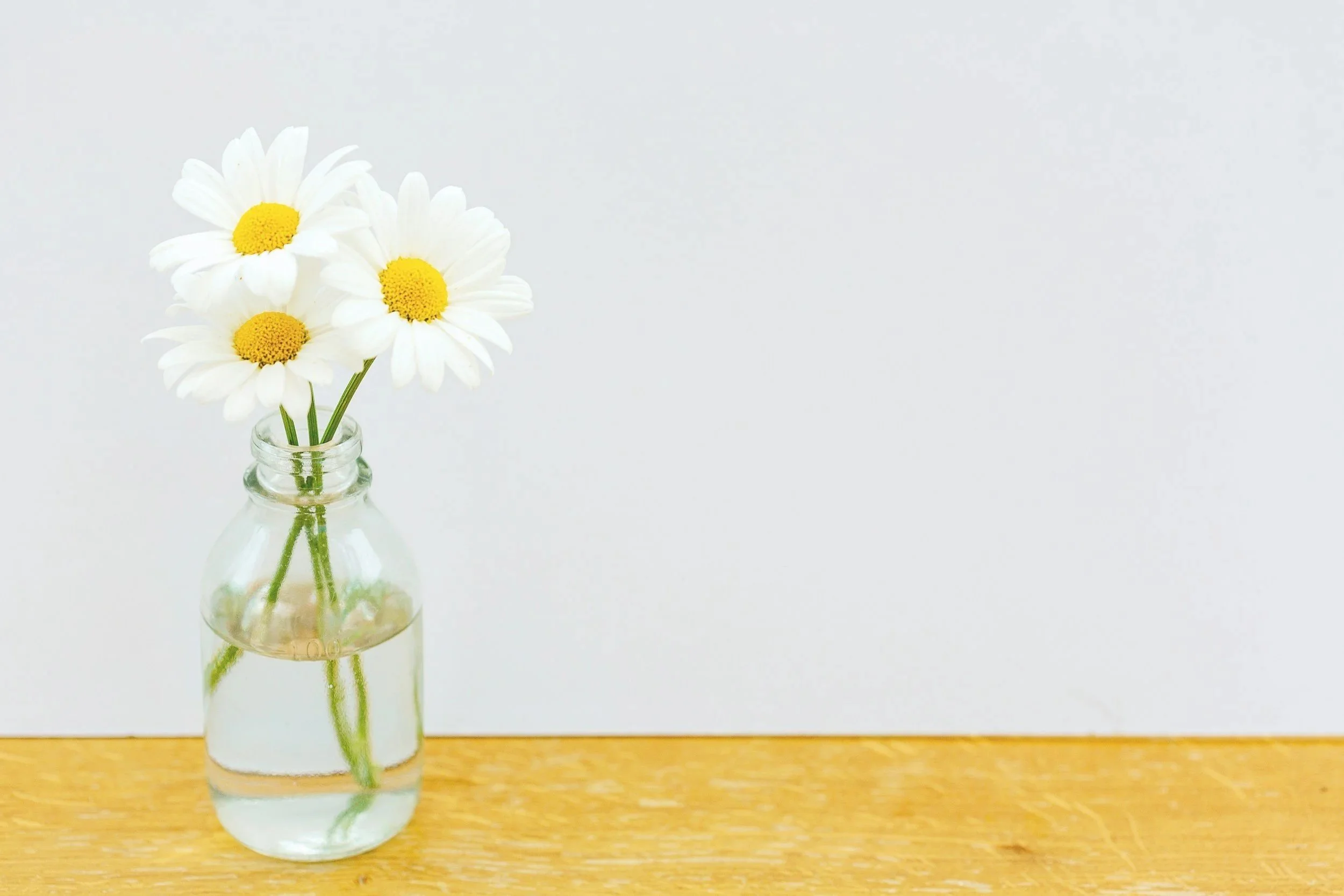 Virtual Daisy Image copy.jpg