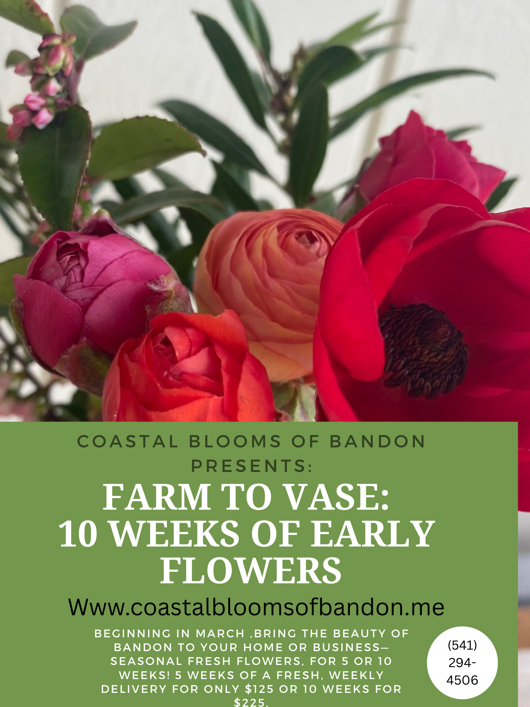 Early Summer Mixed Bouquet Subscription