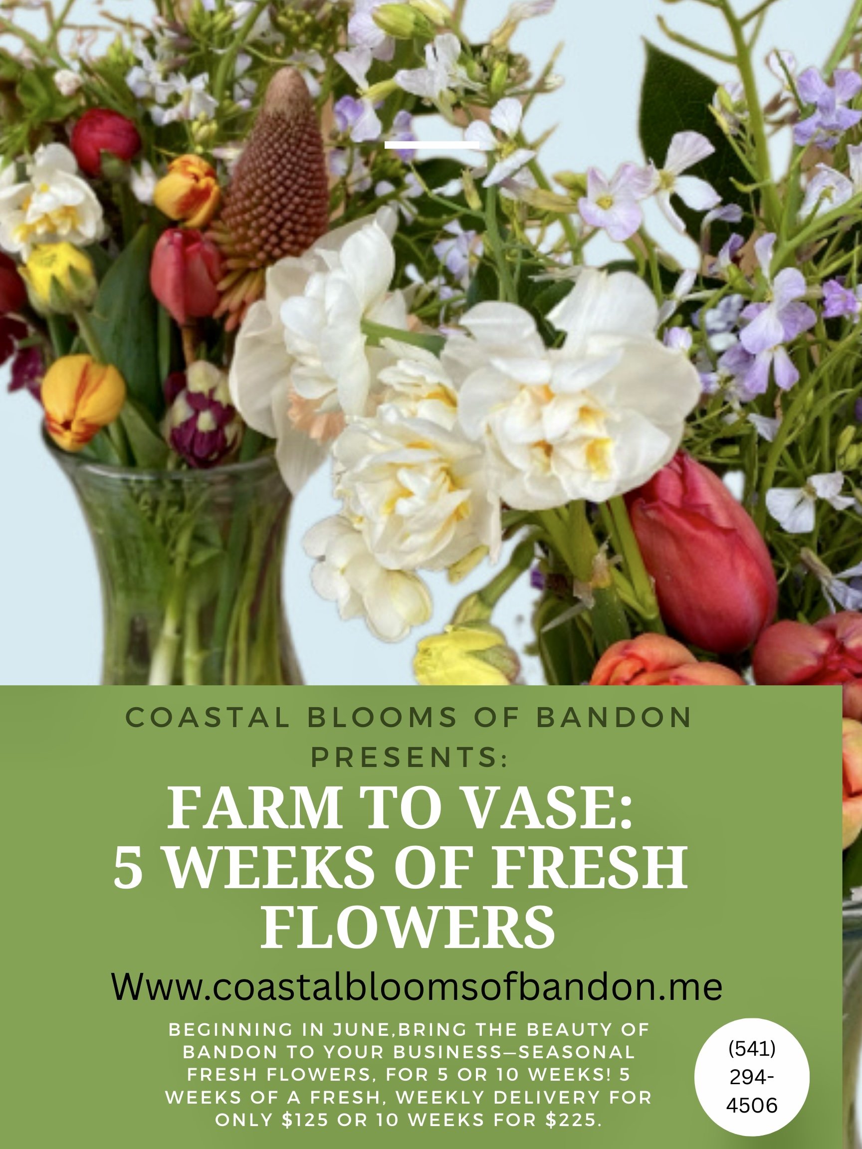 5 week flower subscription