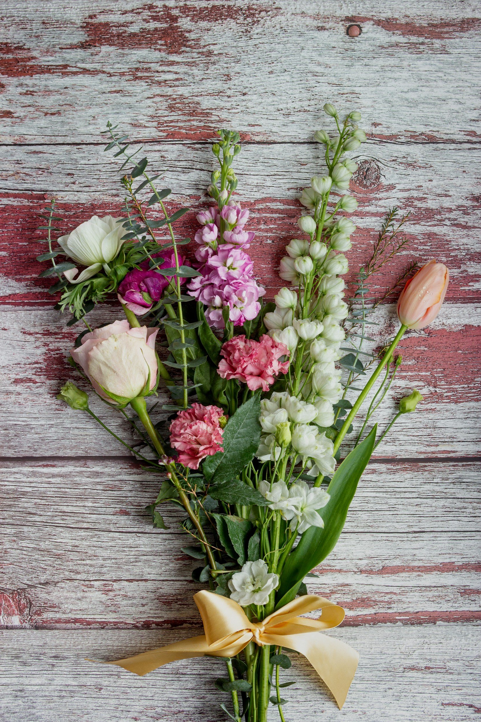 unsplash-image-kRaBlaswbYQ.jpg