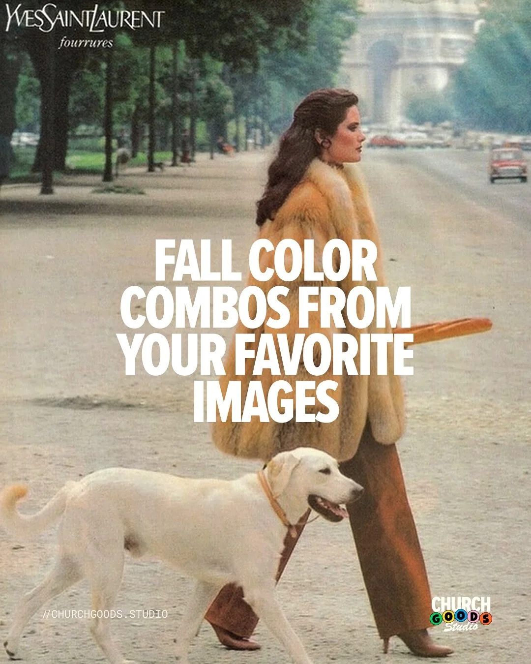 Save this post for your upcoming fall projects 🍁✨🧡