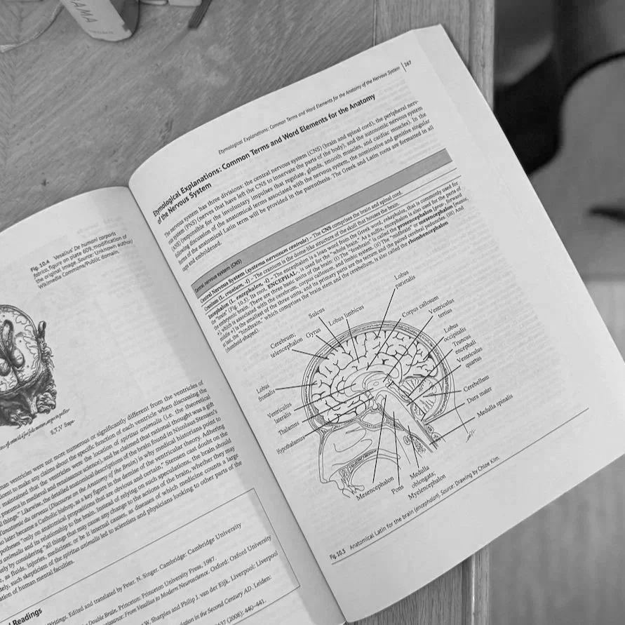 Medical Illustration