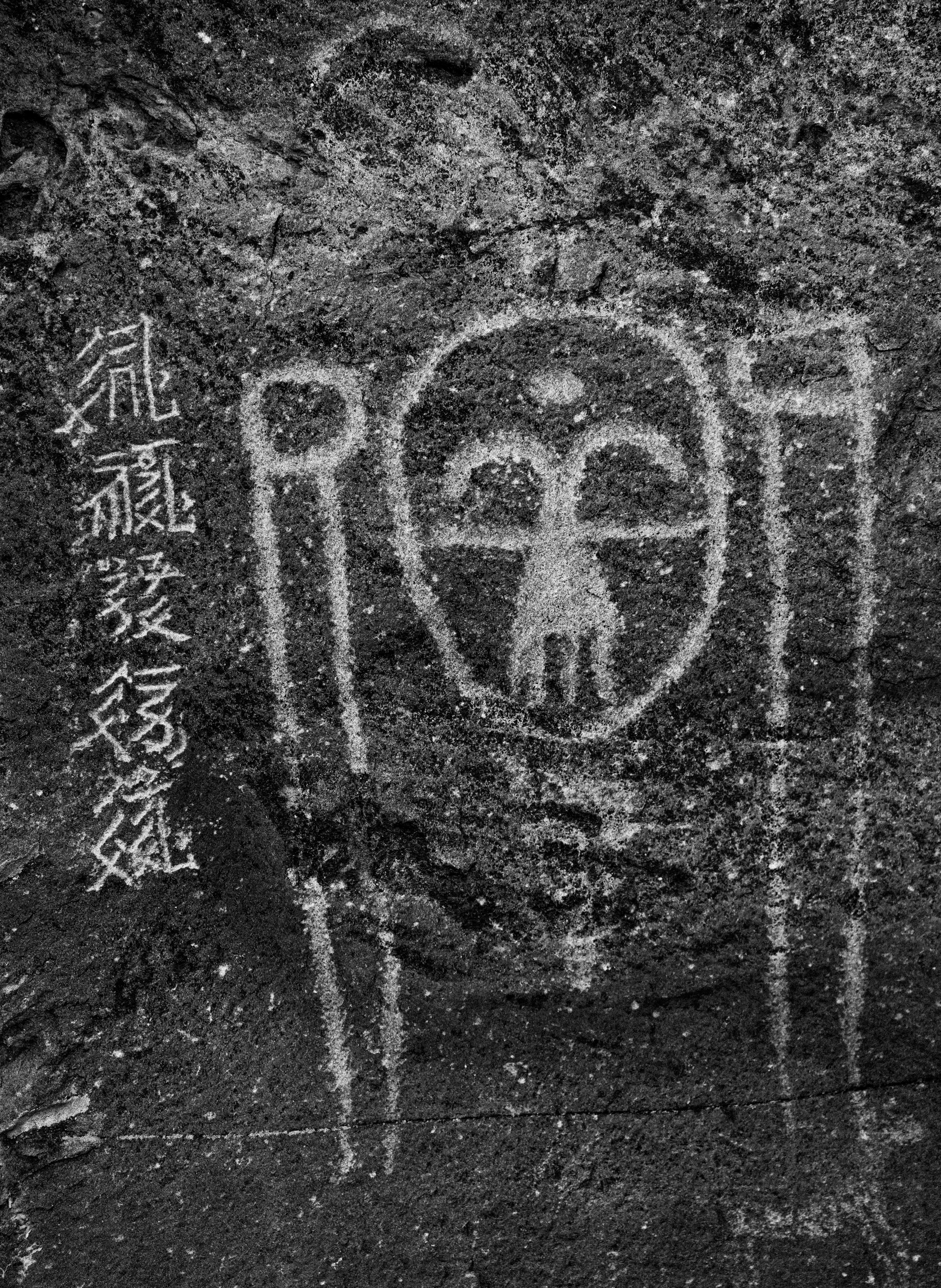 Scan DSC08911