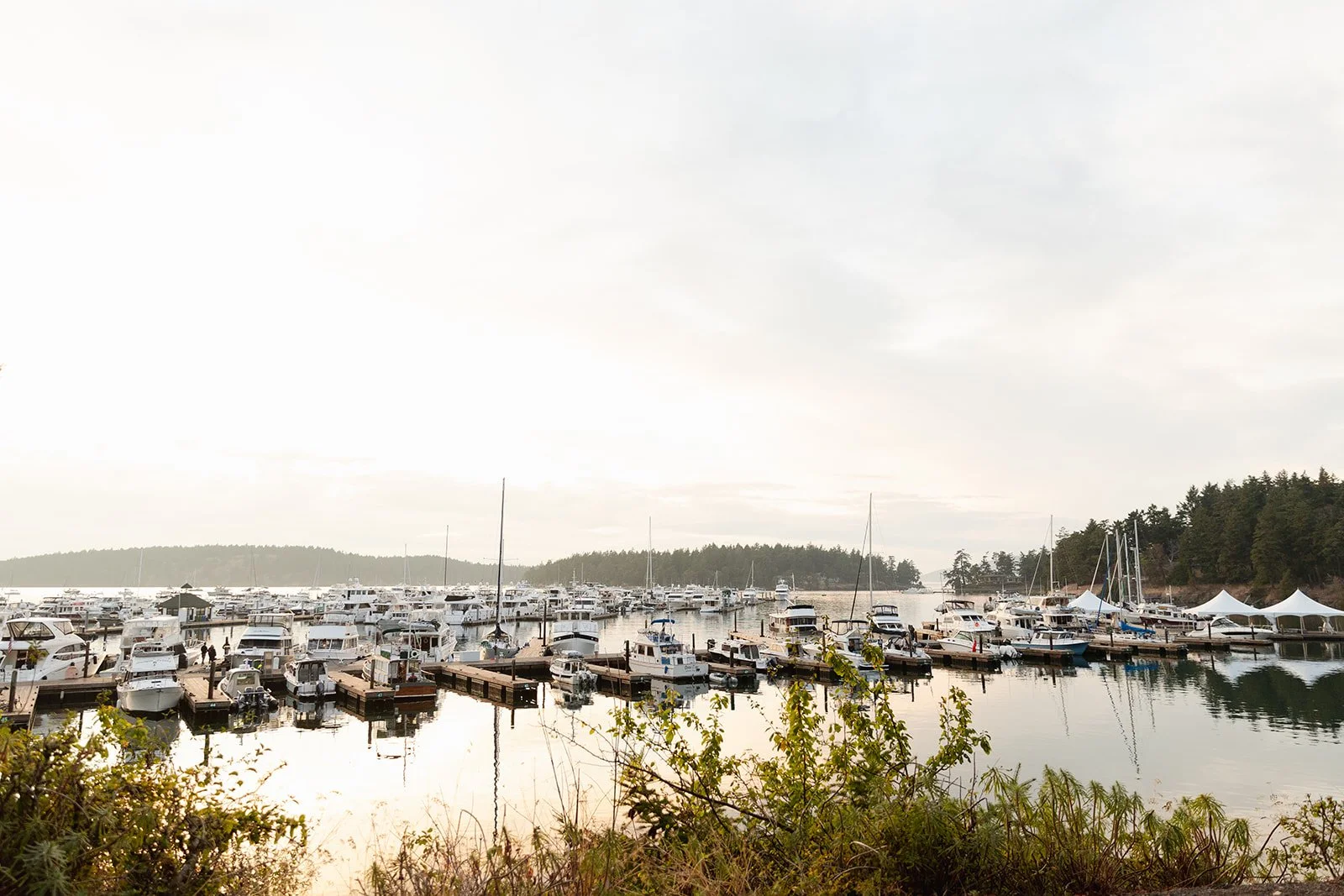 Mary Kalhor_Mary_Kalhor_Andy and Esther_367.jpg