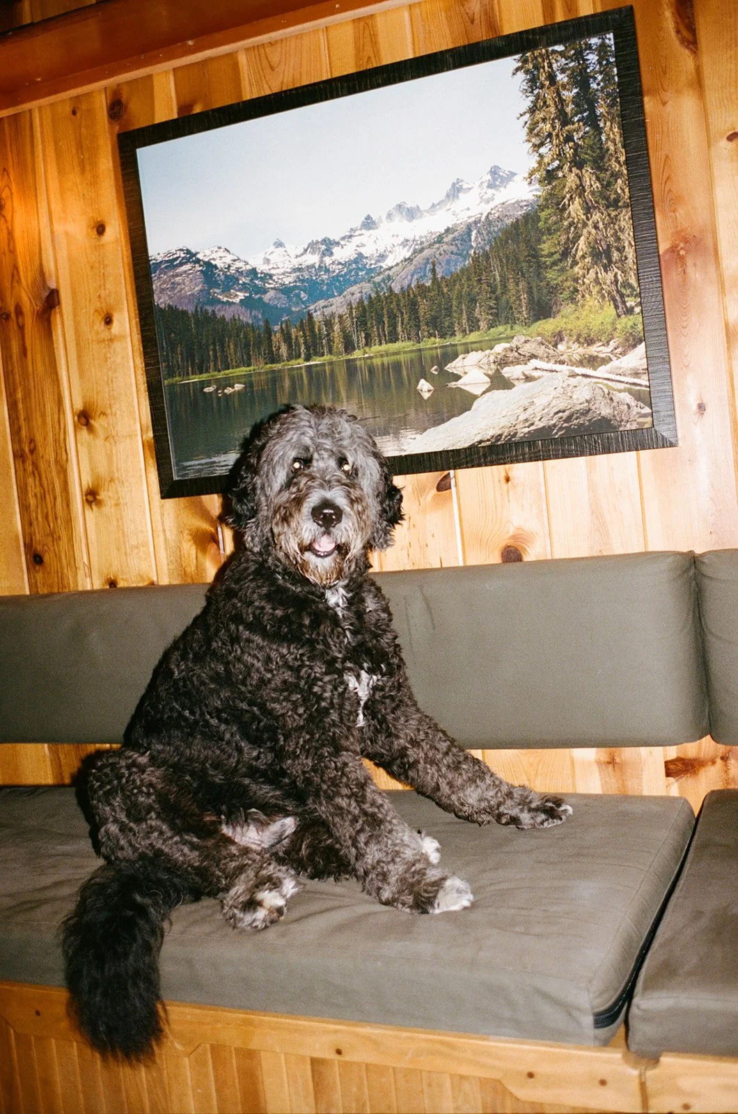 Mary Kalhor_Mary_Kalhor_Caroline and Spencer_Captain Whidbey_011.jpg