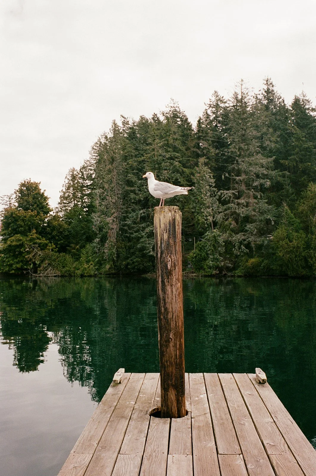 Mary Kalhor_Mary_Kalhor_Andy and Esther_004.jpg