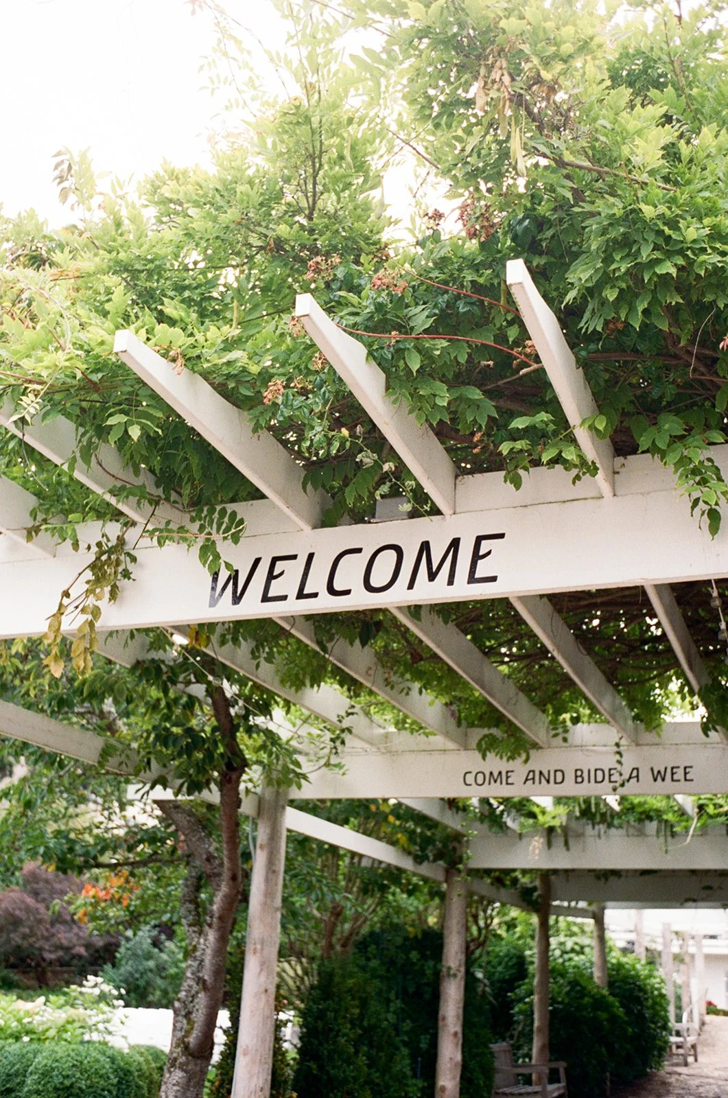 Mary Kalhor_Mary_Kalhor_Andy and Esther_006.jpg