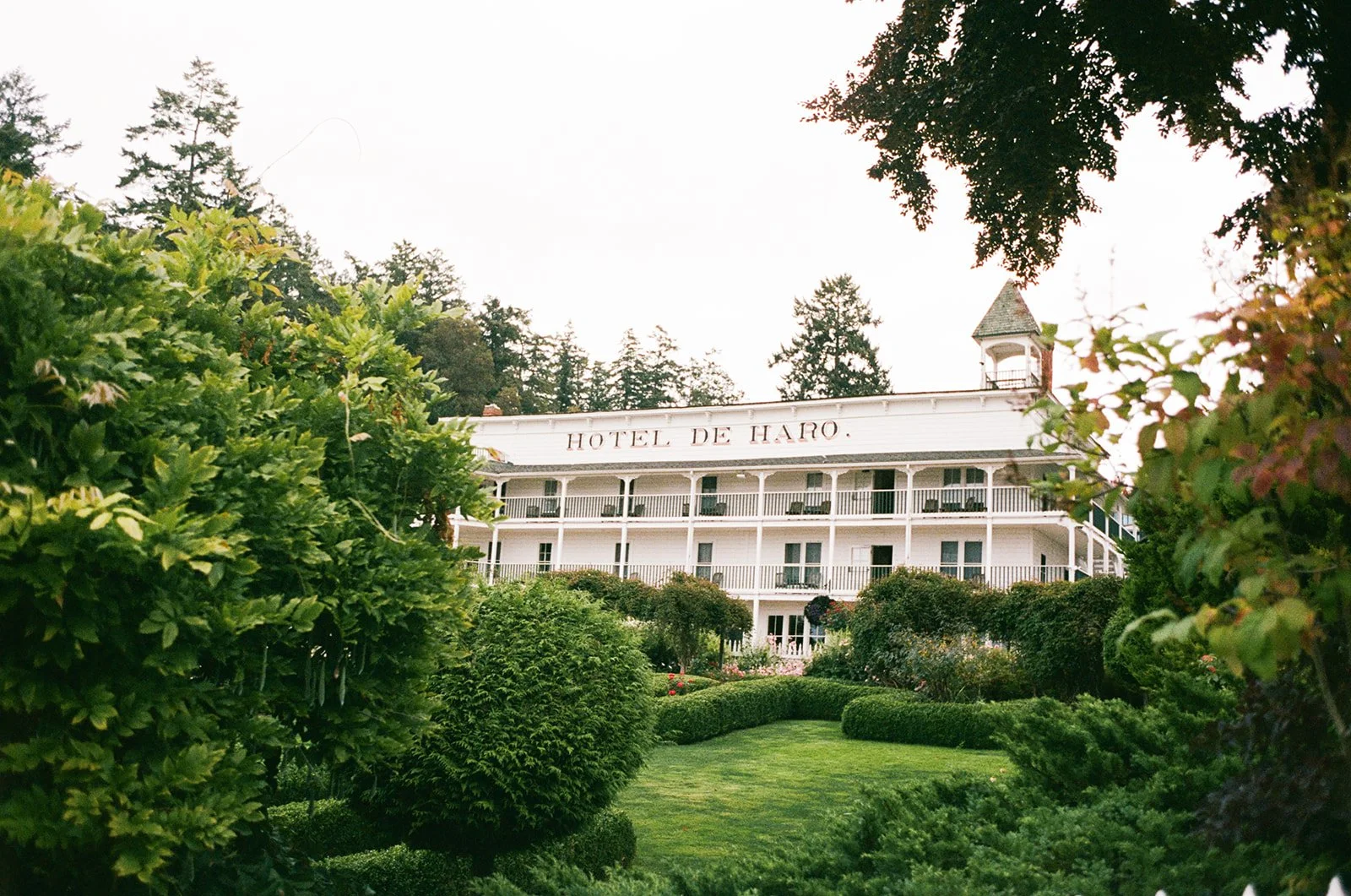 Mary Kalhor_Mary_Kalhor_Andy and Esther_001.jpg