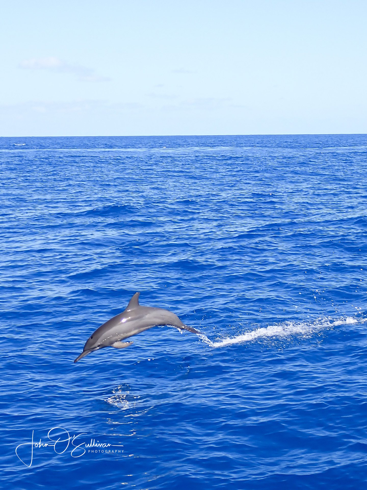 FNQ 2024_snorkeling-32.jpg