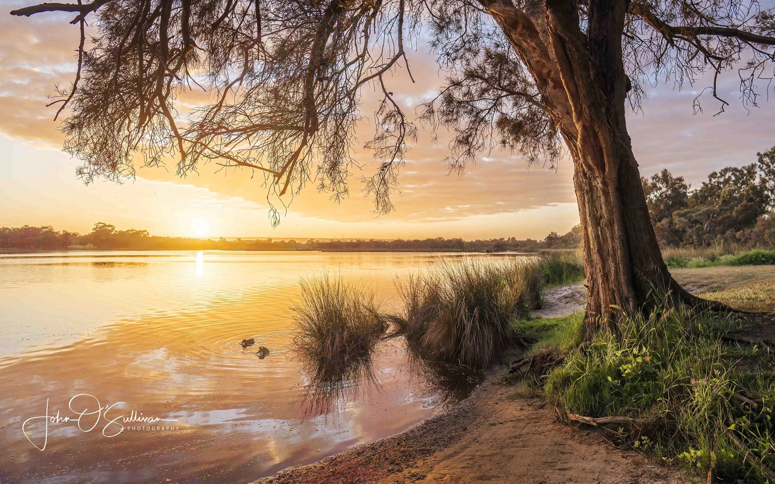 211_ CANNING RIVER SUNRISE_ RIVERTON BRIDGE