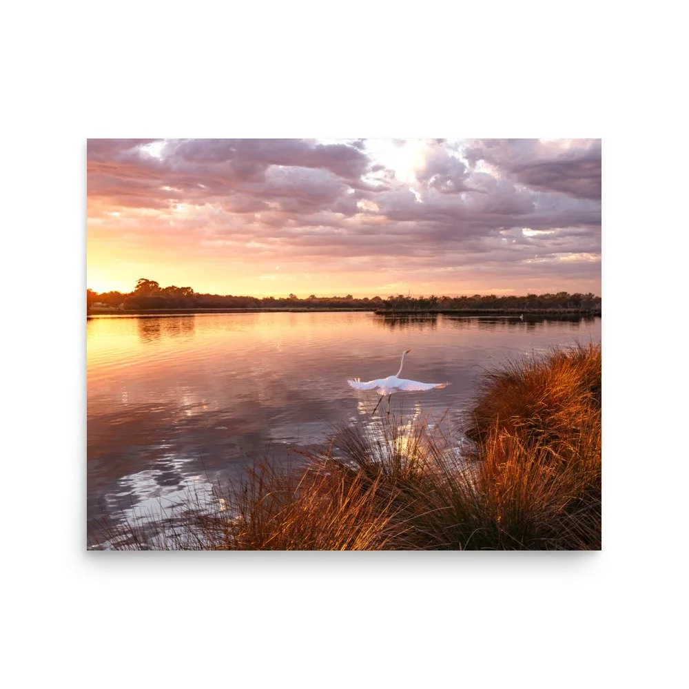 Photo paper poster