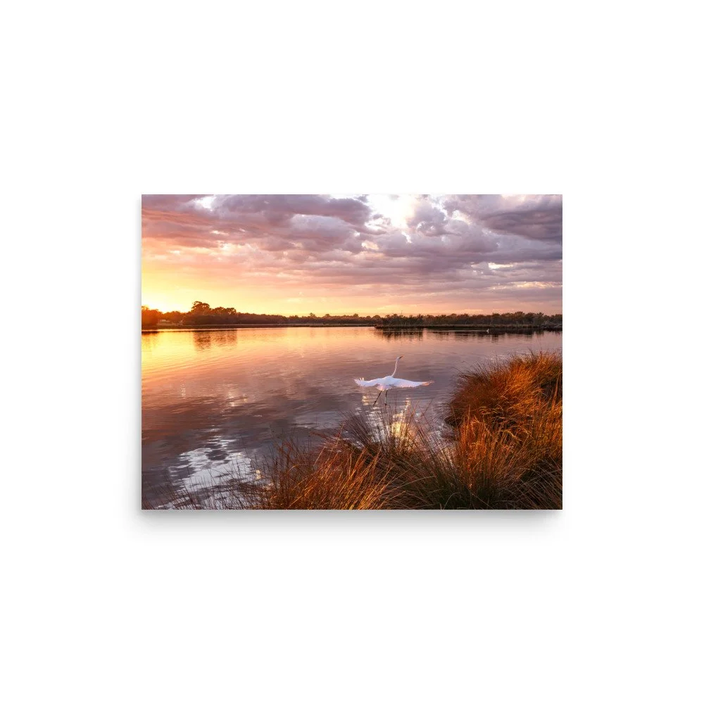Photo paper poster