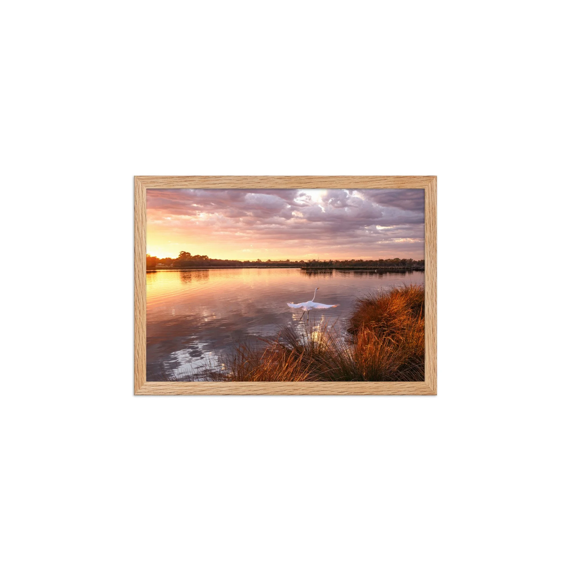 Framed matte paper poster