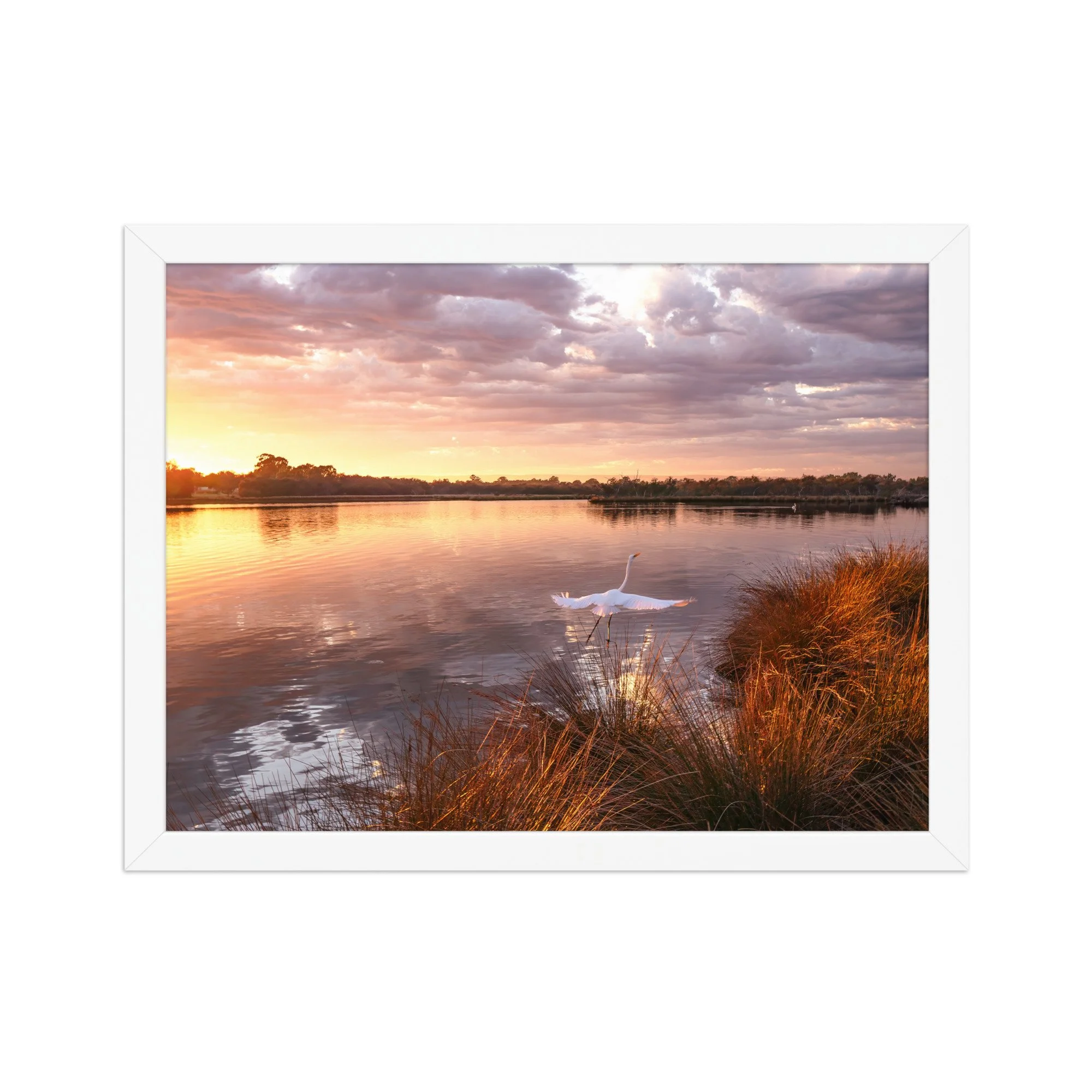 Framed matte paper poster
