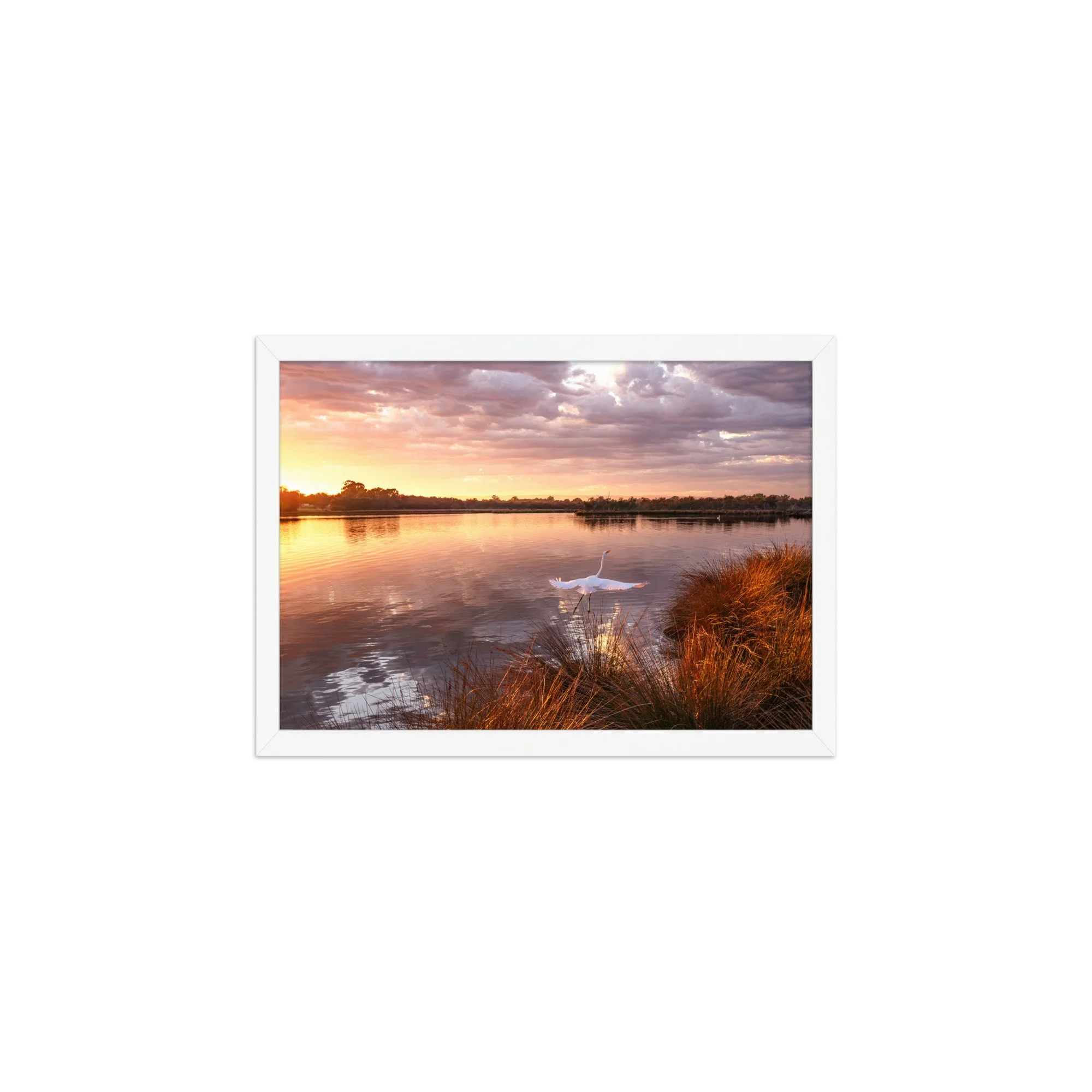 Framed matte paper poster