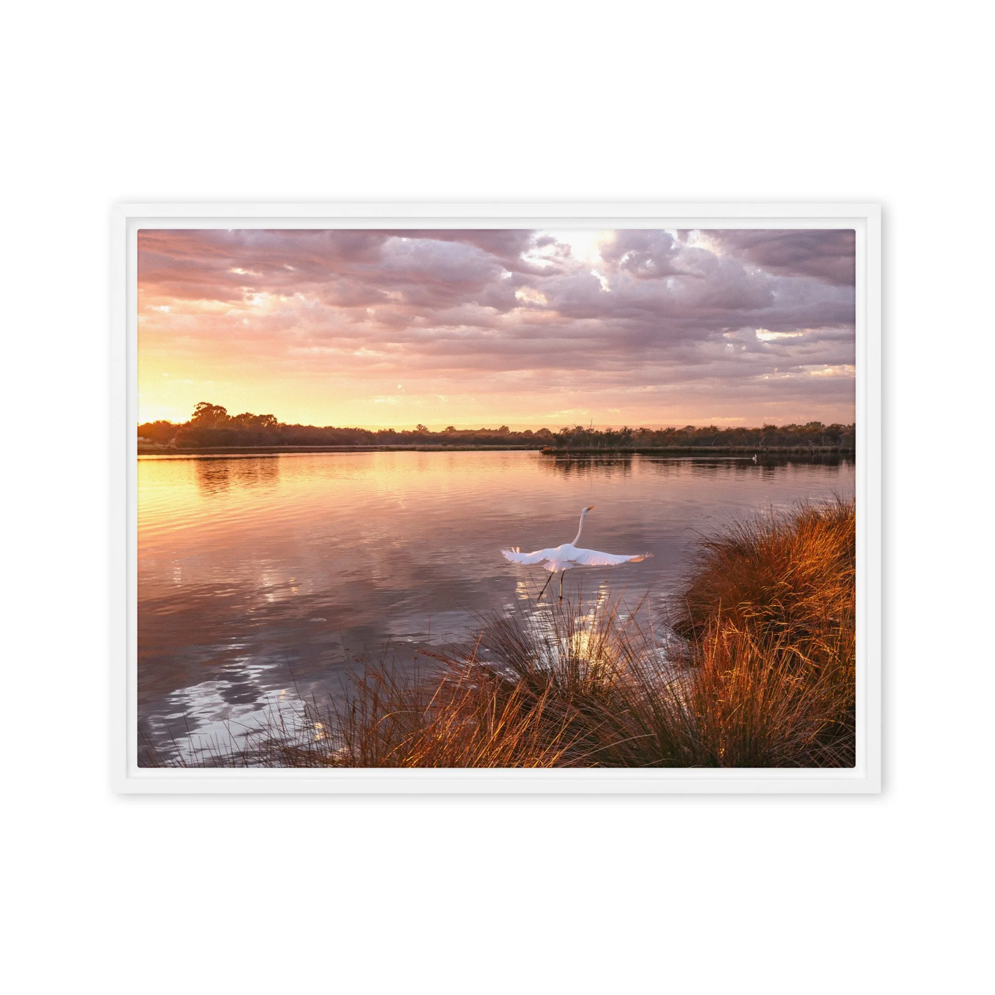 Framed canvas