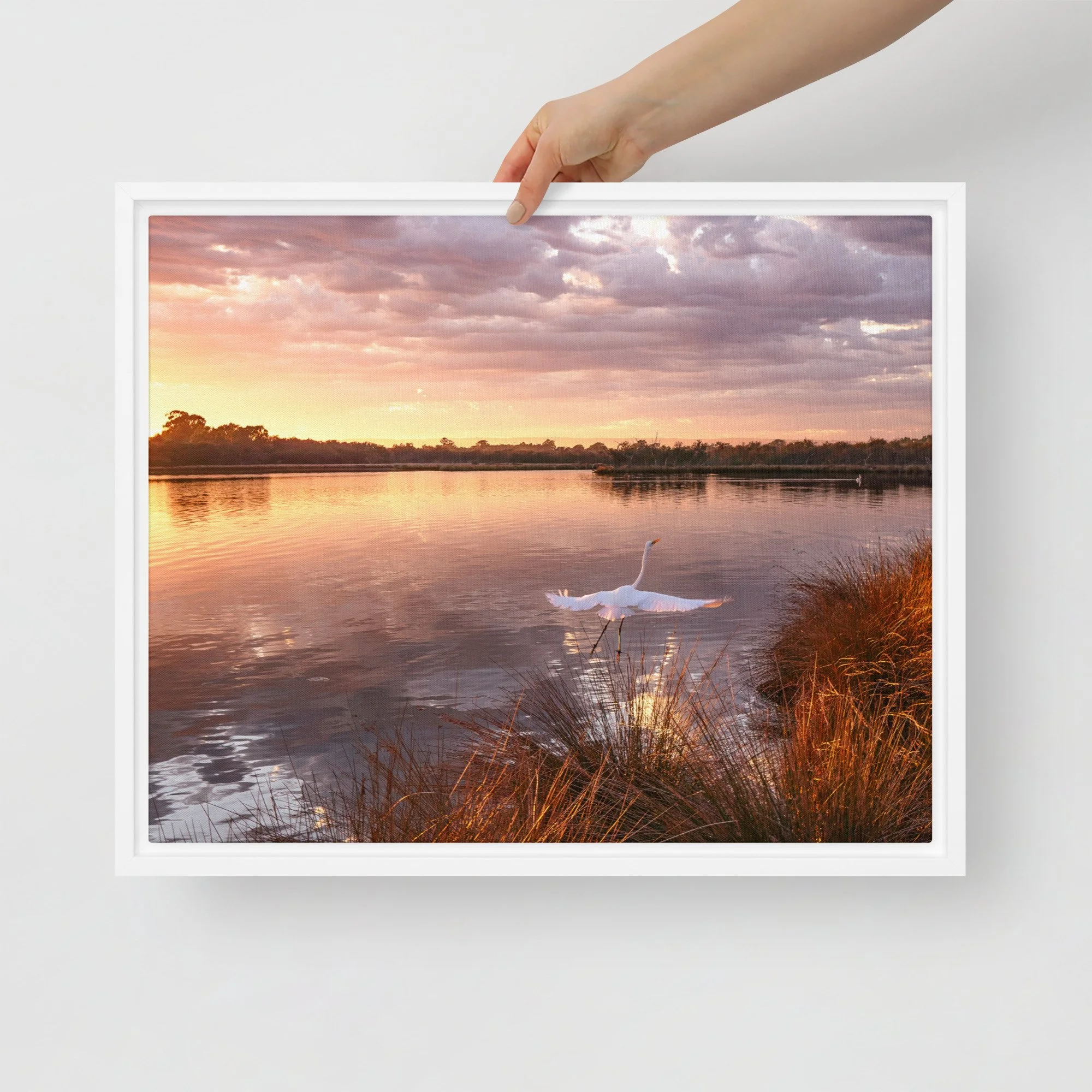Framed canvas