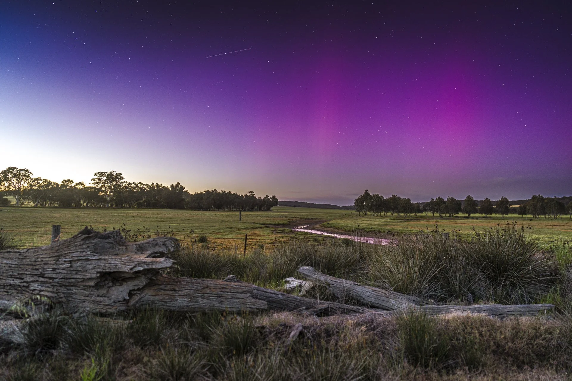 2024 Aurora-01759.jpg