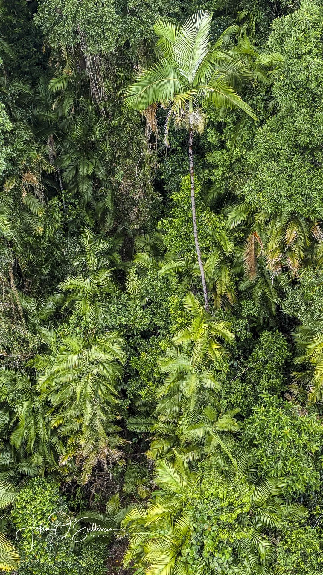 FNQ 2024_insta-4.jpg