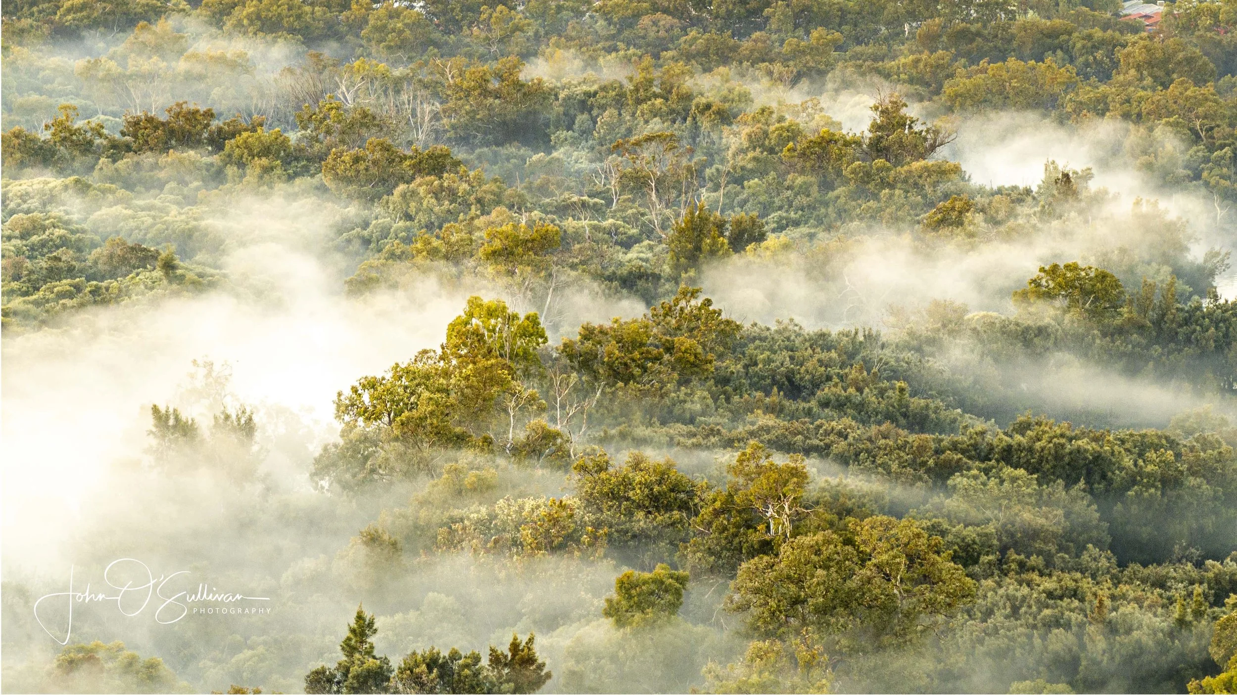206_ CANNING RIVER FOG