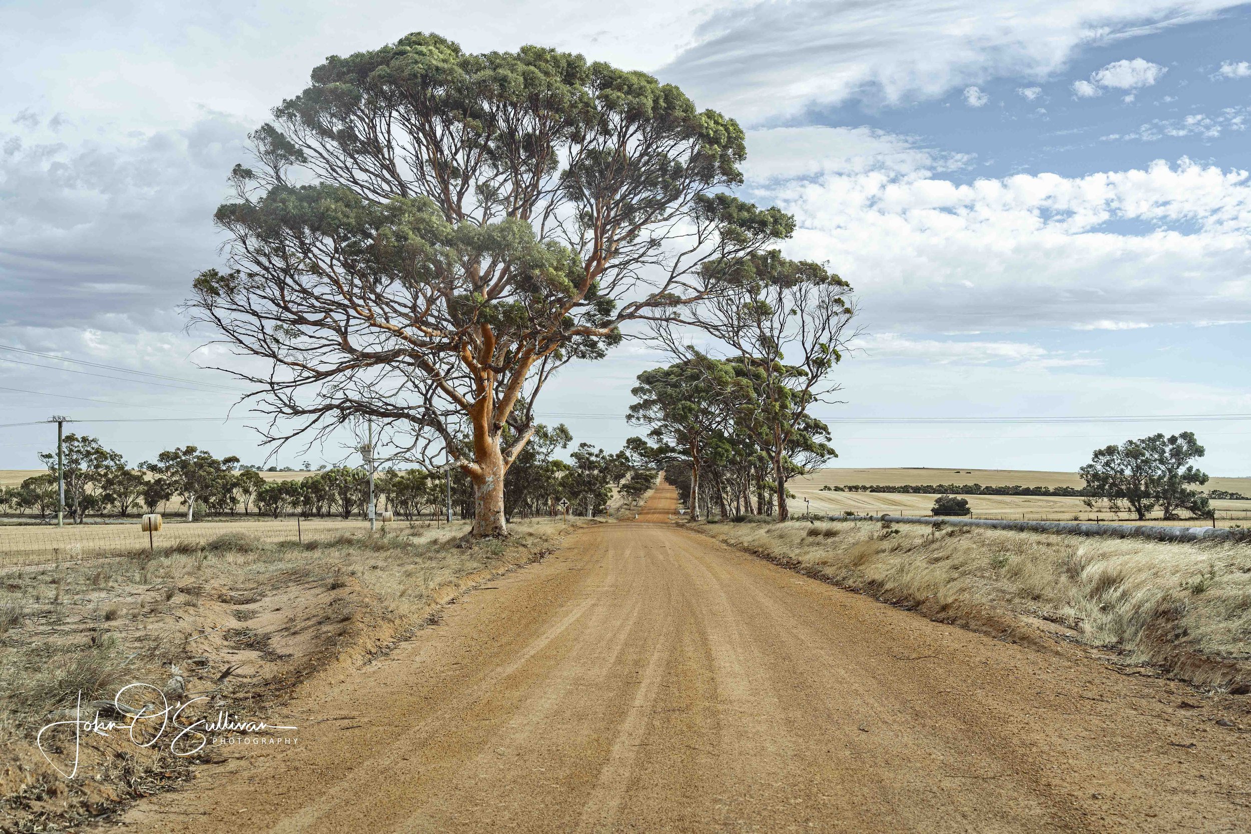 Wheat Belt_ Jan 2024-14.jpg