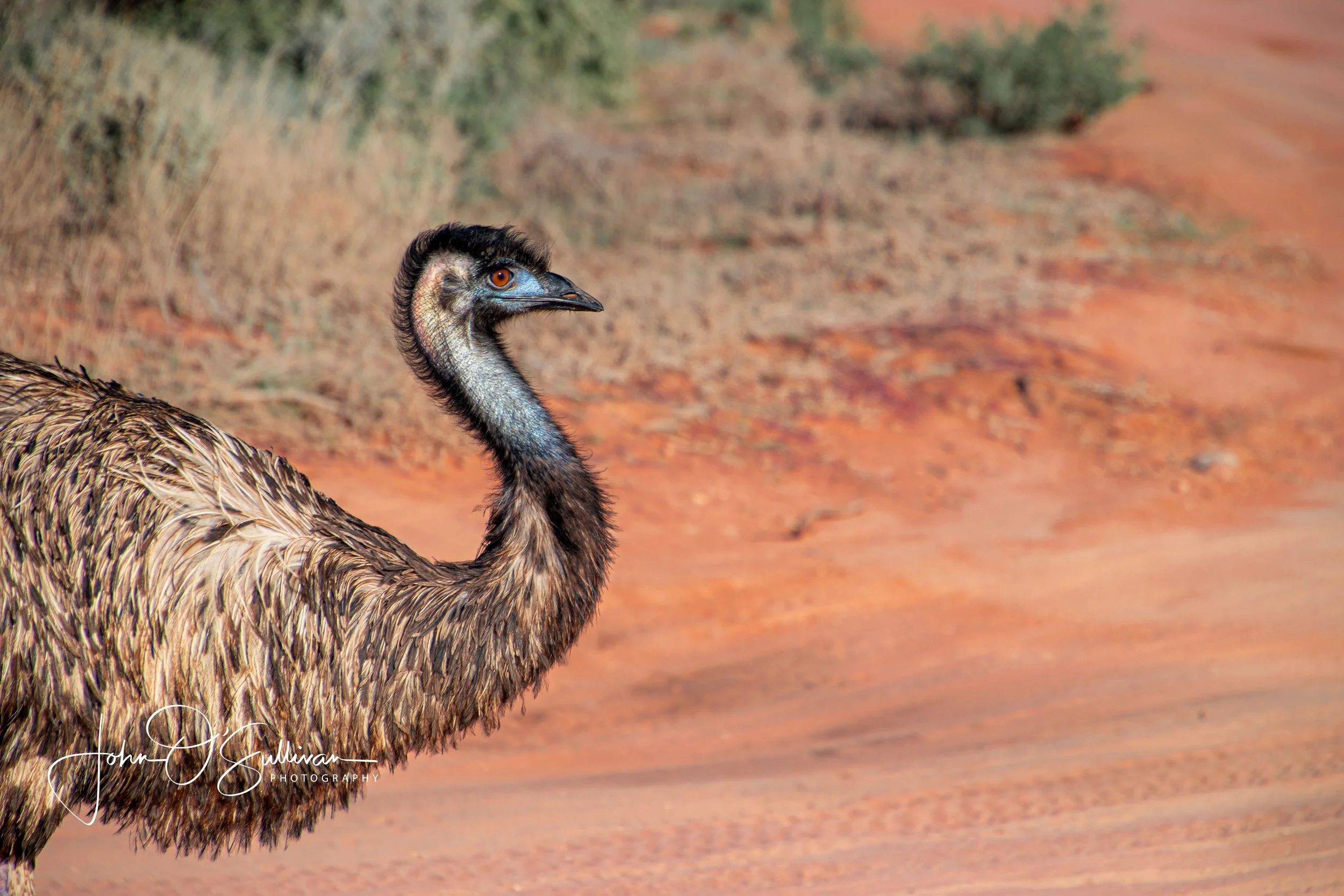 Shark Bay_little creek-20.jpg