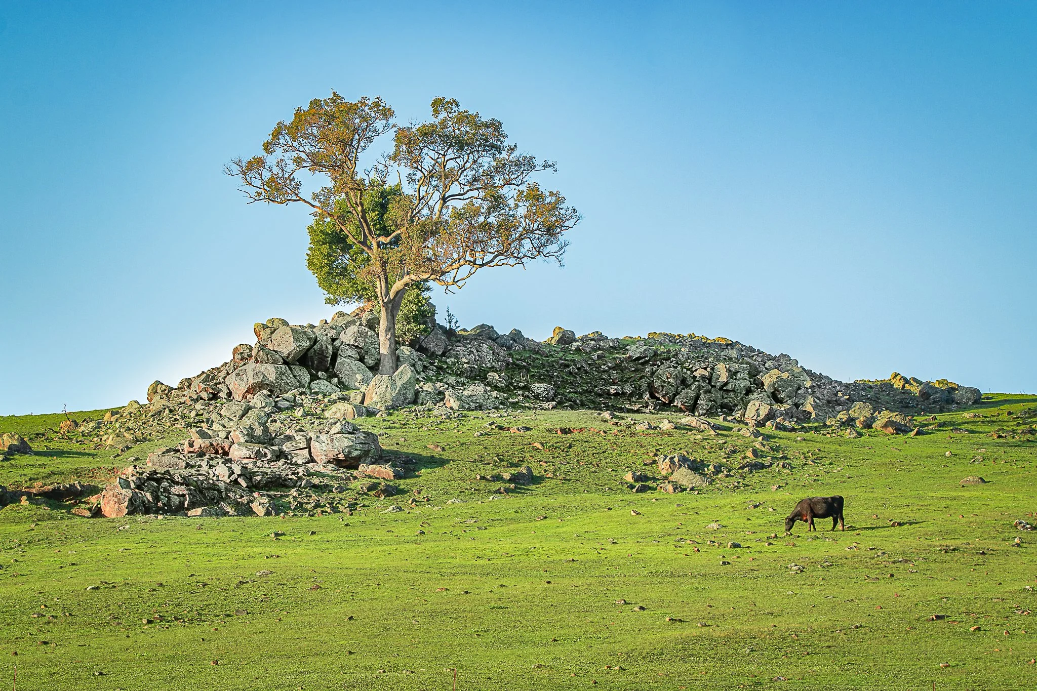 611 BRIDGETOWN FARMING