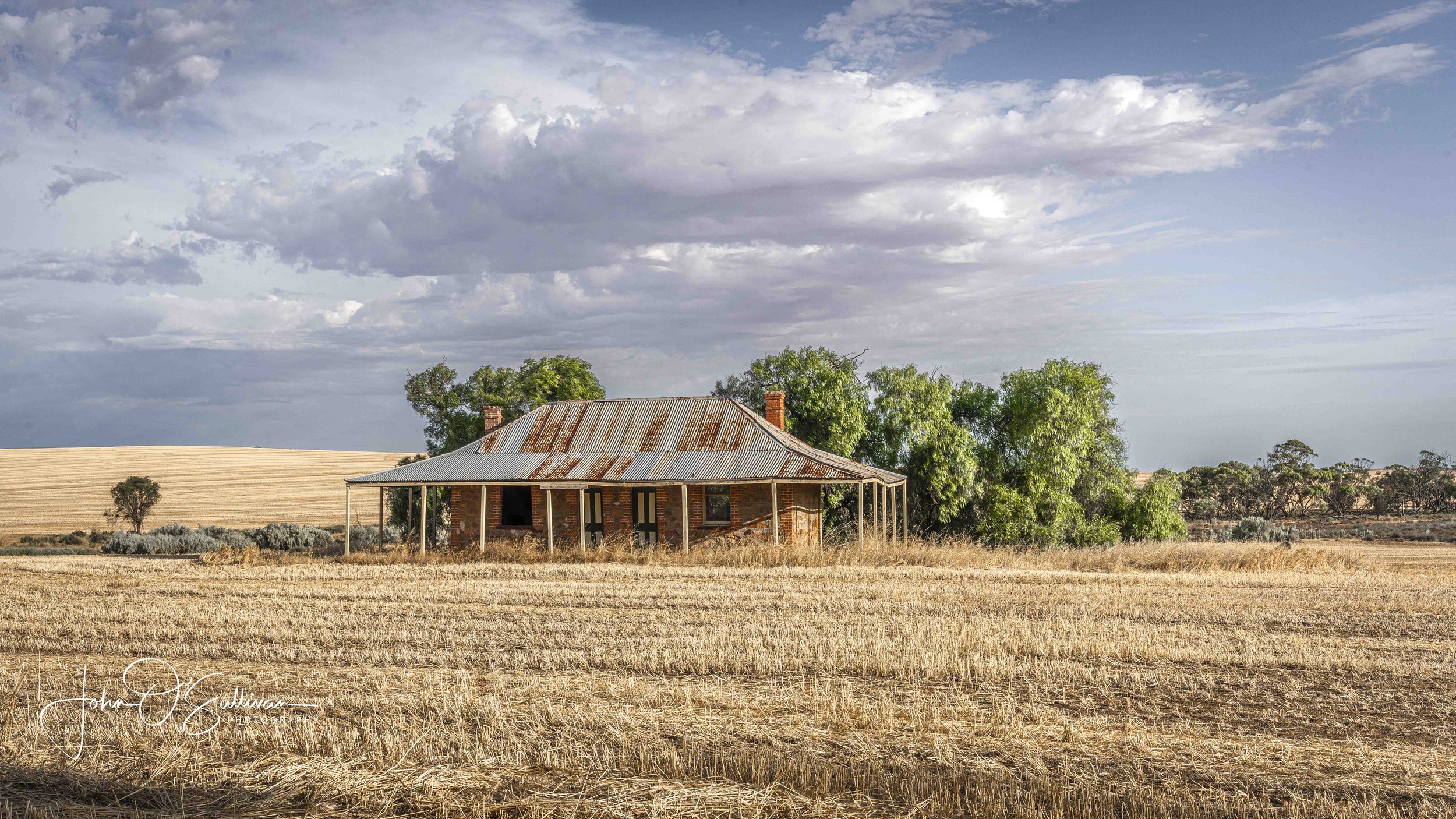 Wheat Belt_ Jan 2024-16.jpg