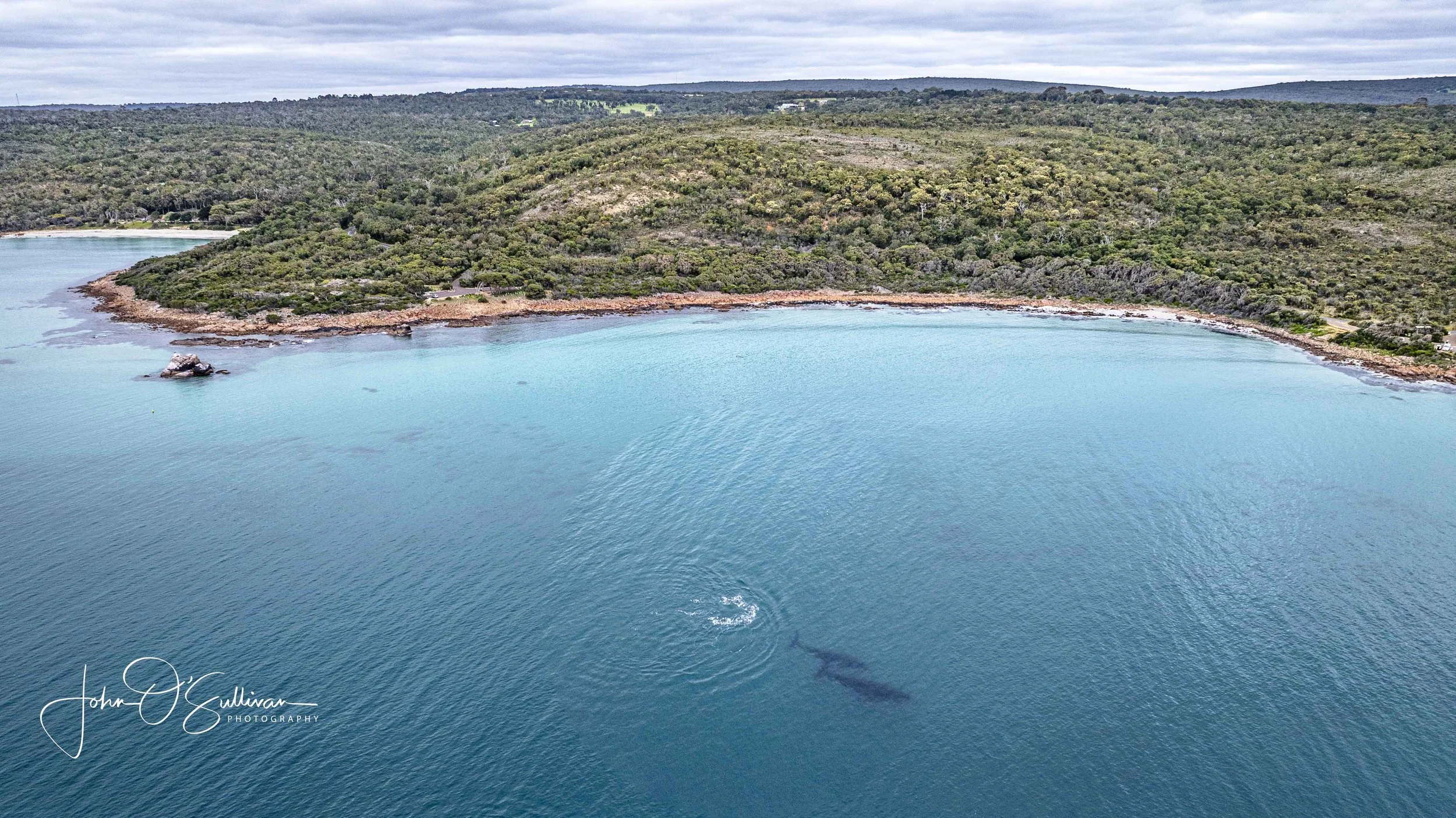 Dunsborough sept 2025-24.jpg