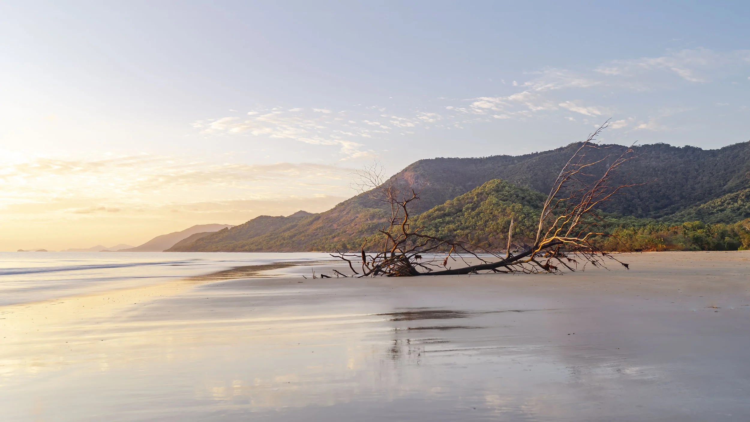 FNQ_ beach 1-6.jpg