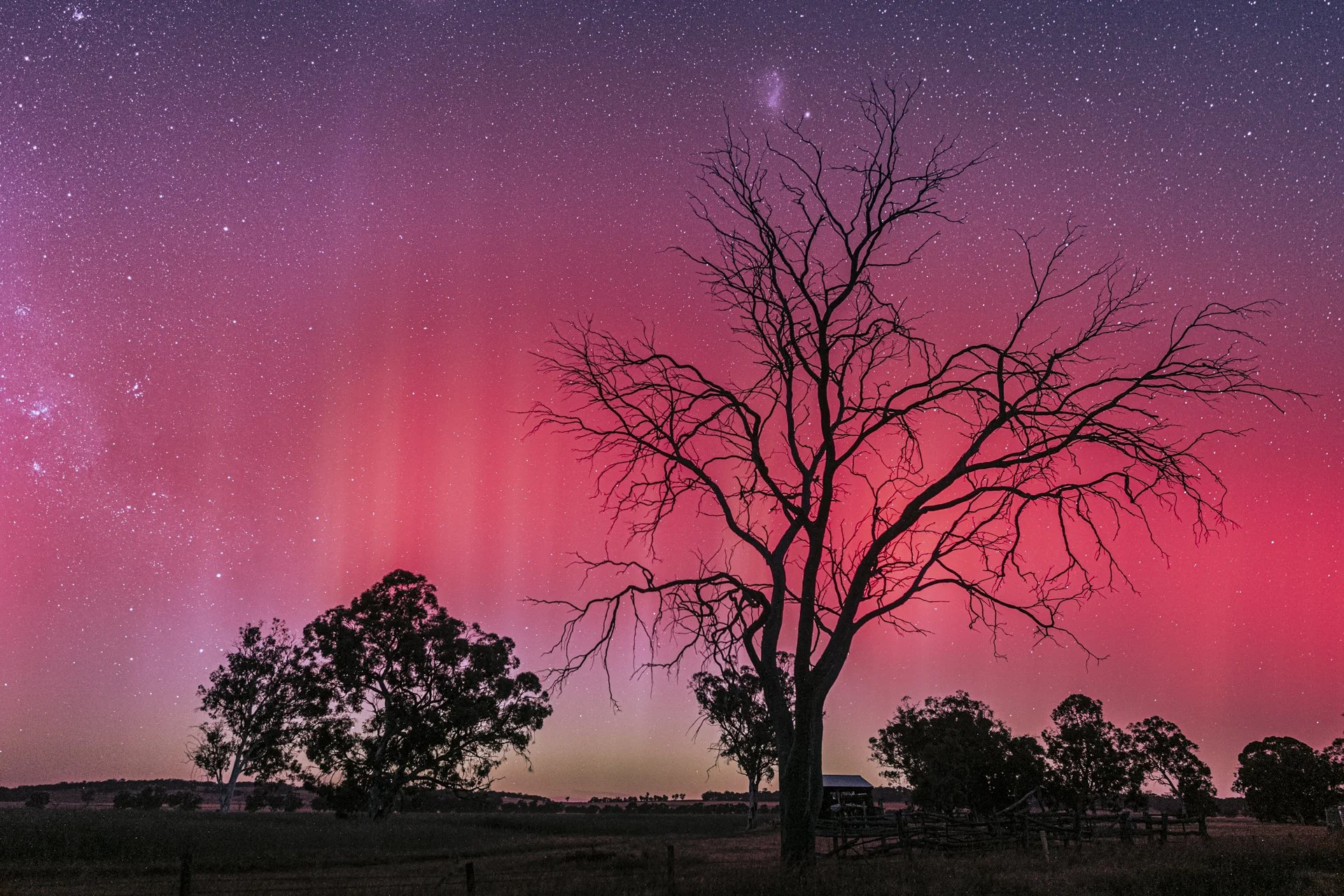 2024 Aurora-01378.jpg