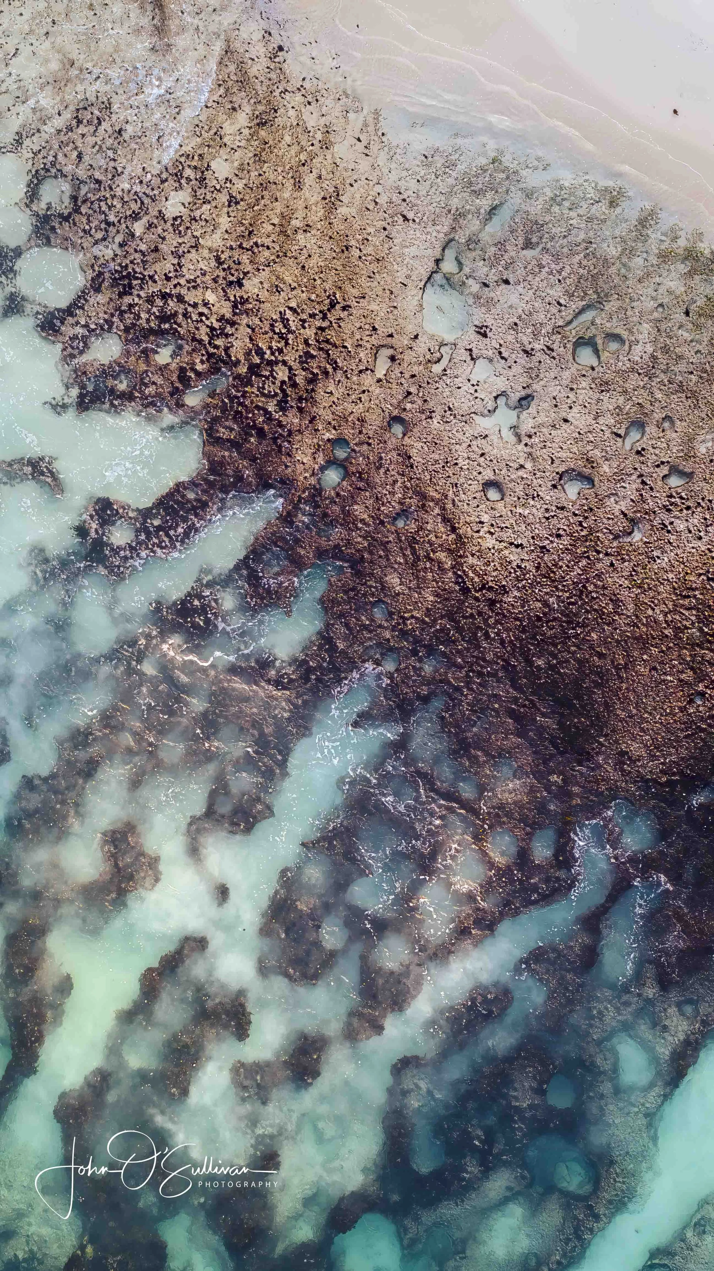 100_ NORTH COTTESLOE REEF