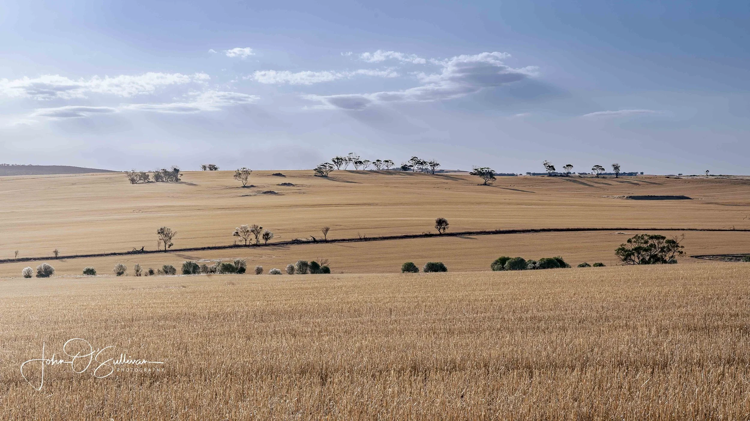 Wheat Belt_ Jan 2024-18.jpg