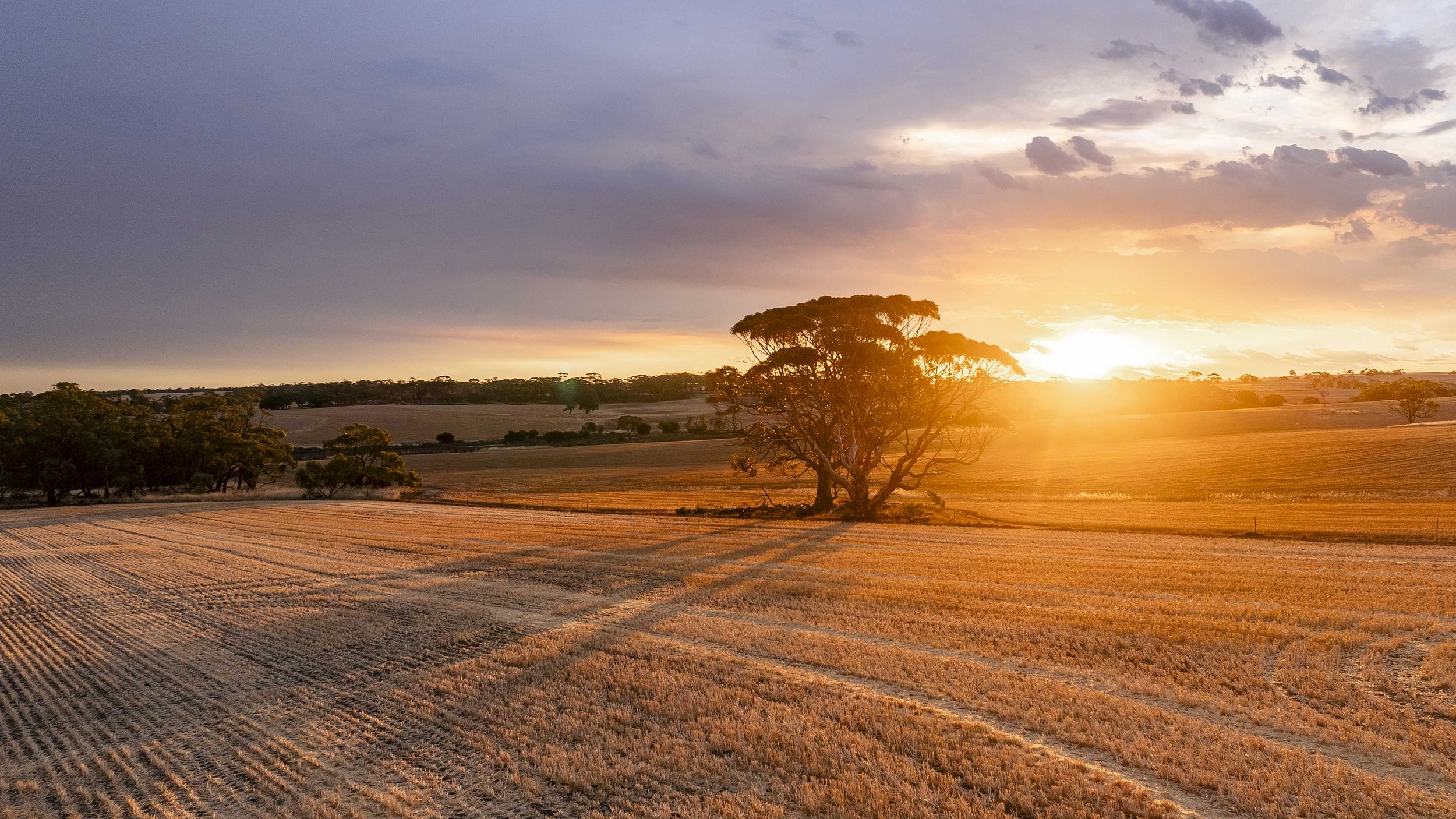 STORM 17122025-19.jpg