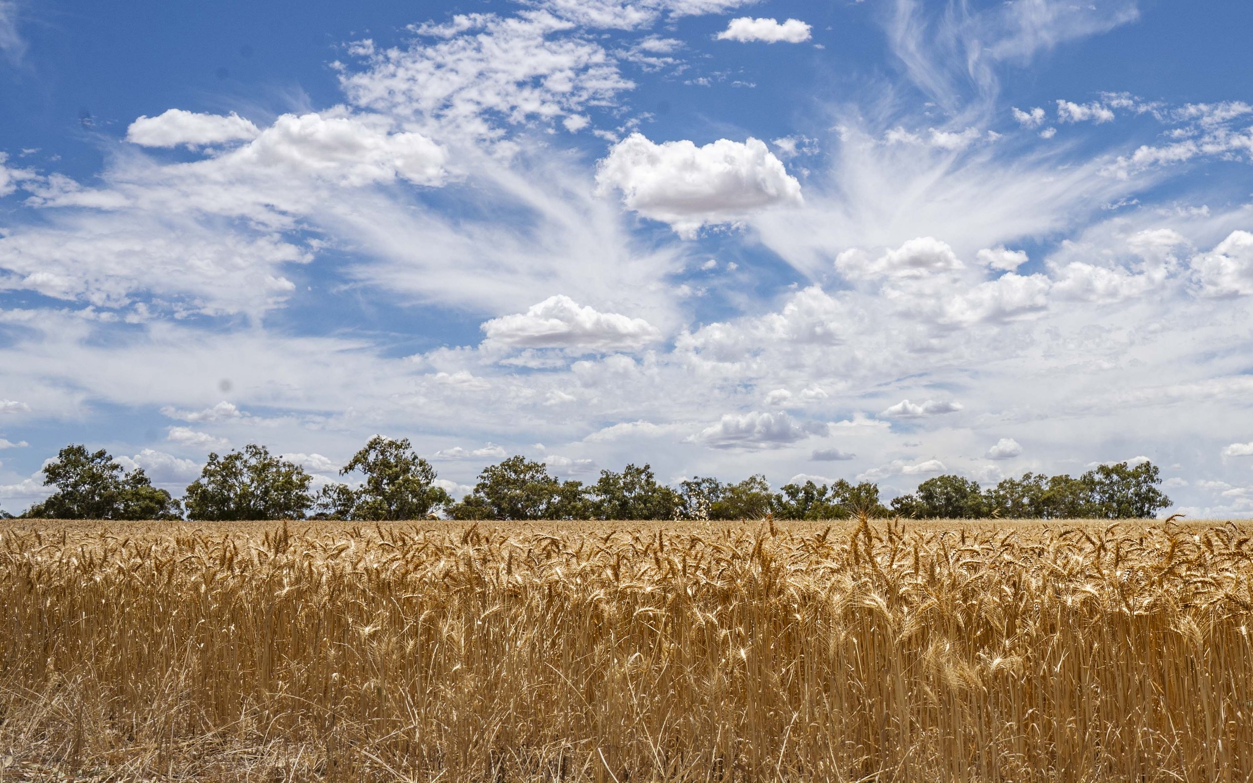 STORM 17122025-11.jpg